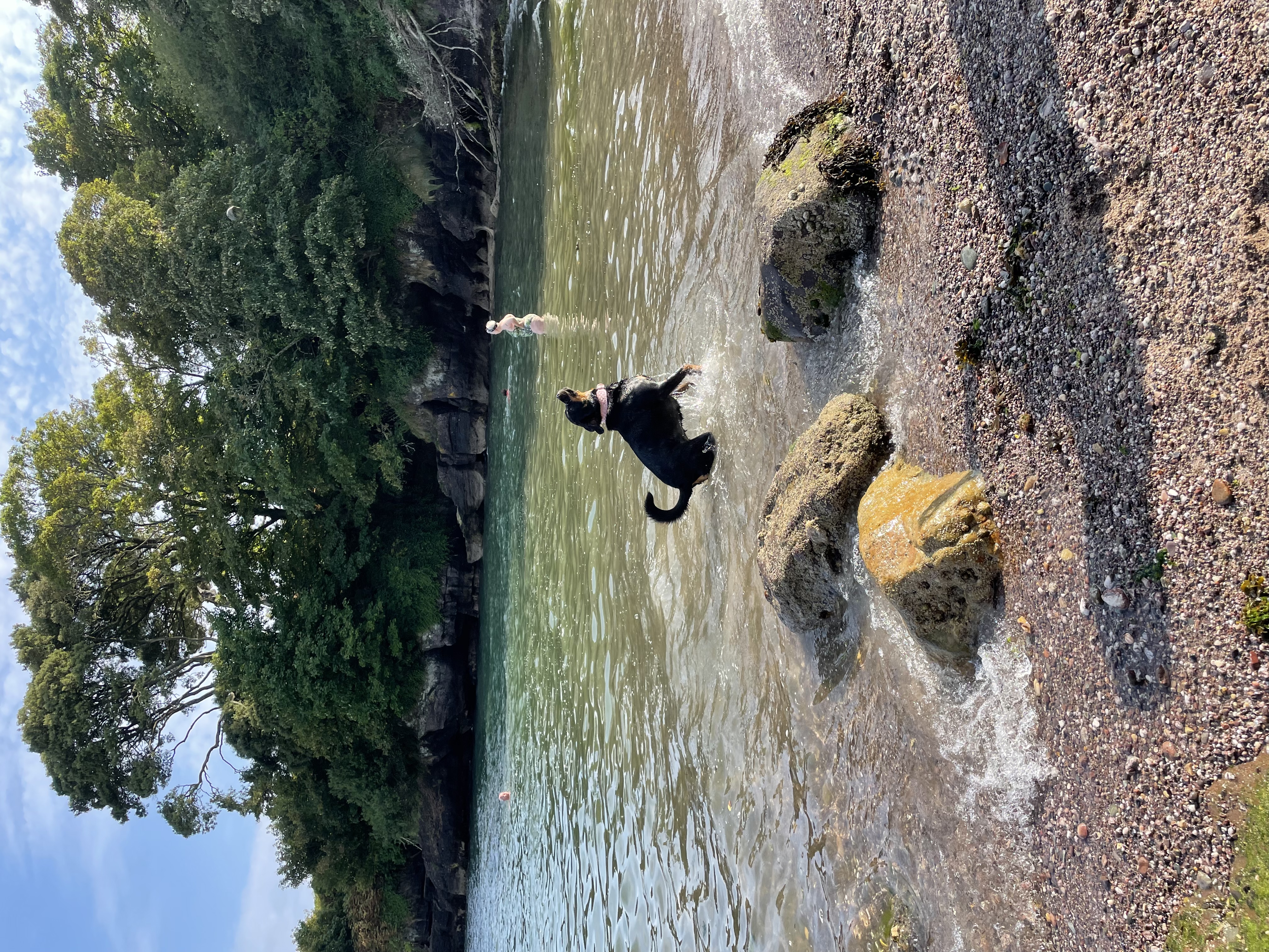 image-11