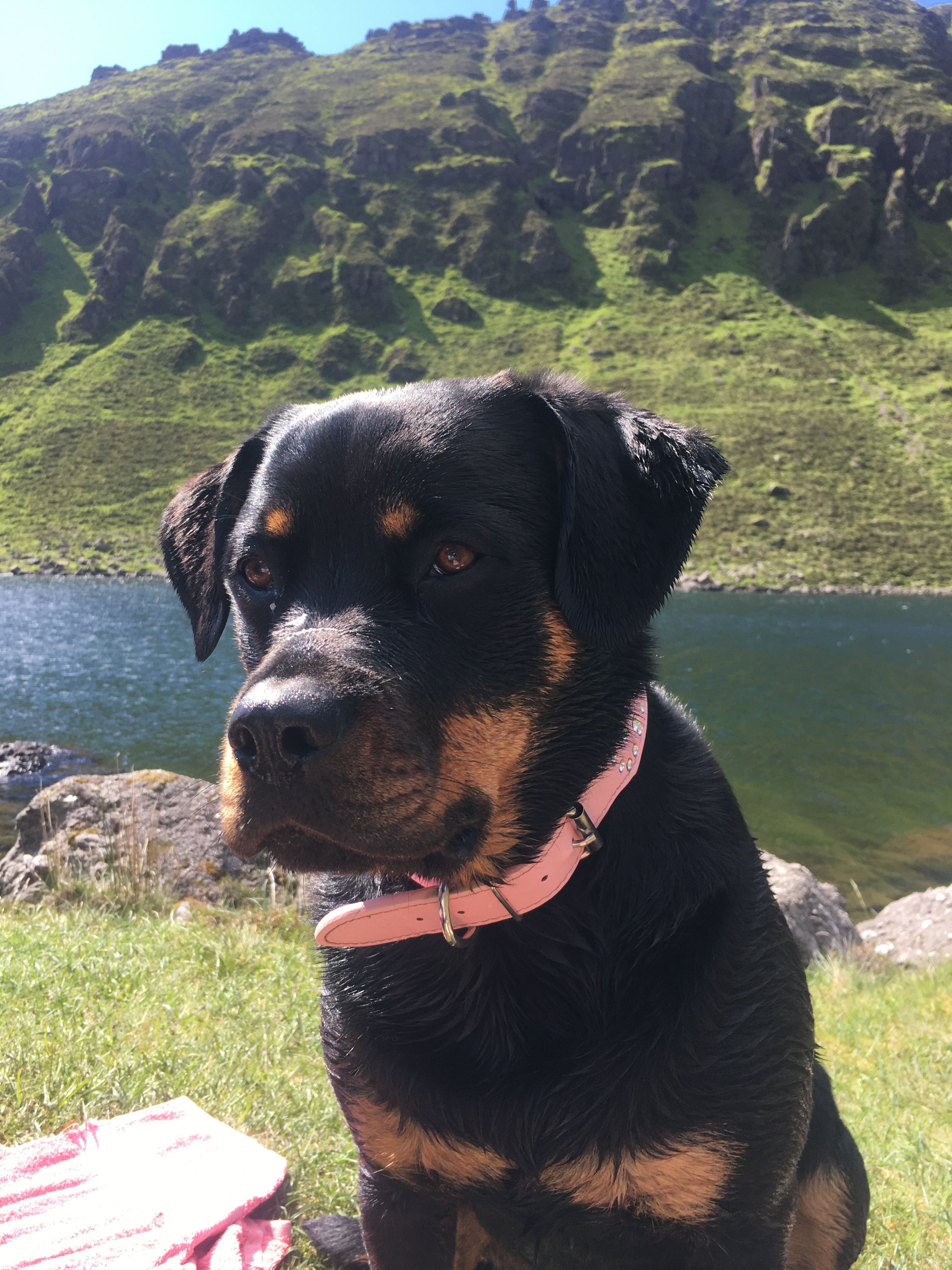 image-13