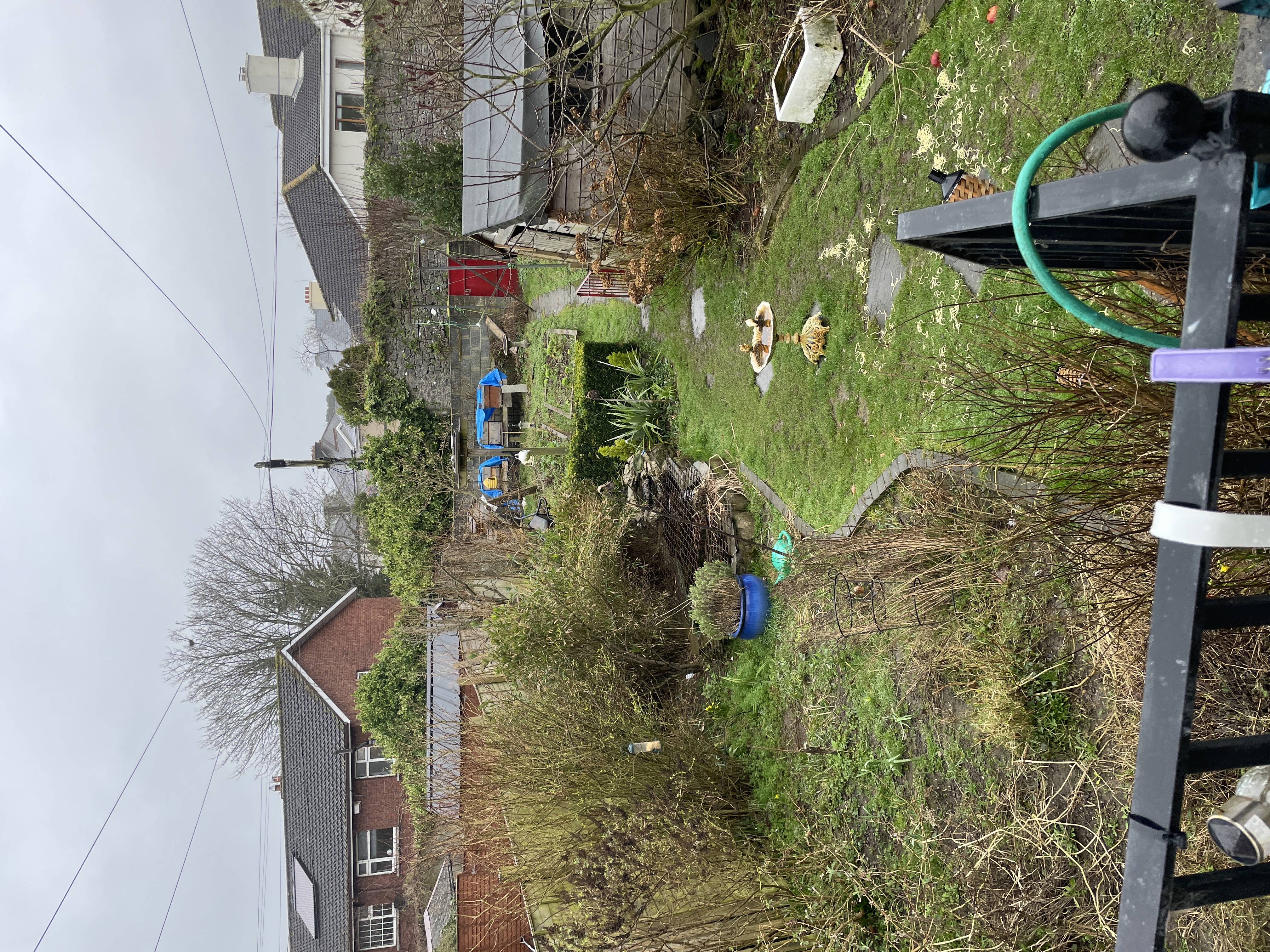 image-16
