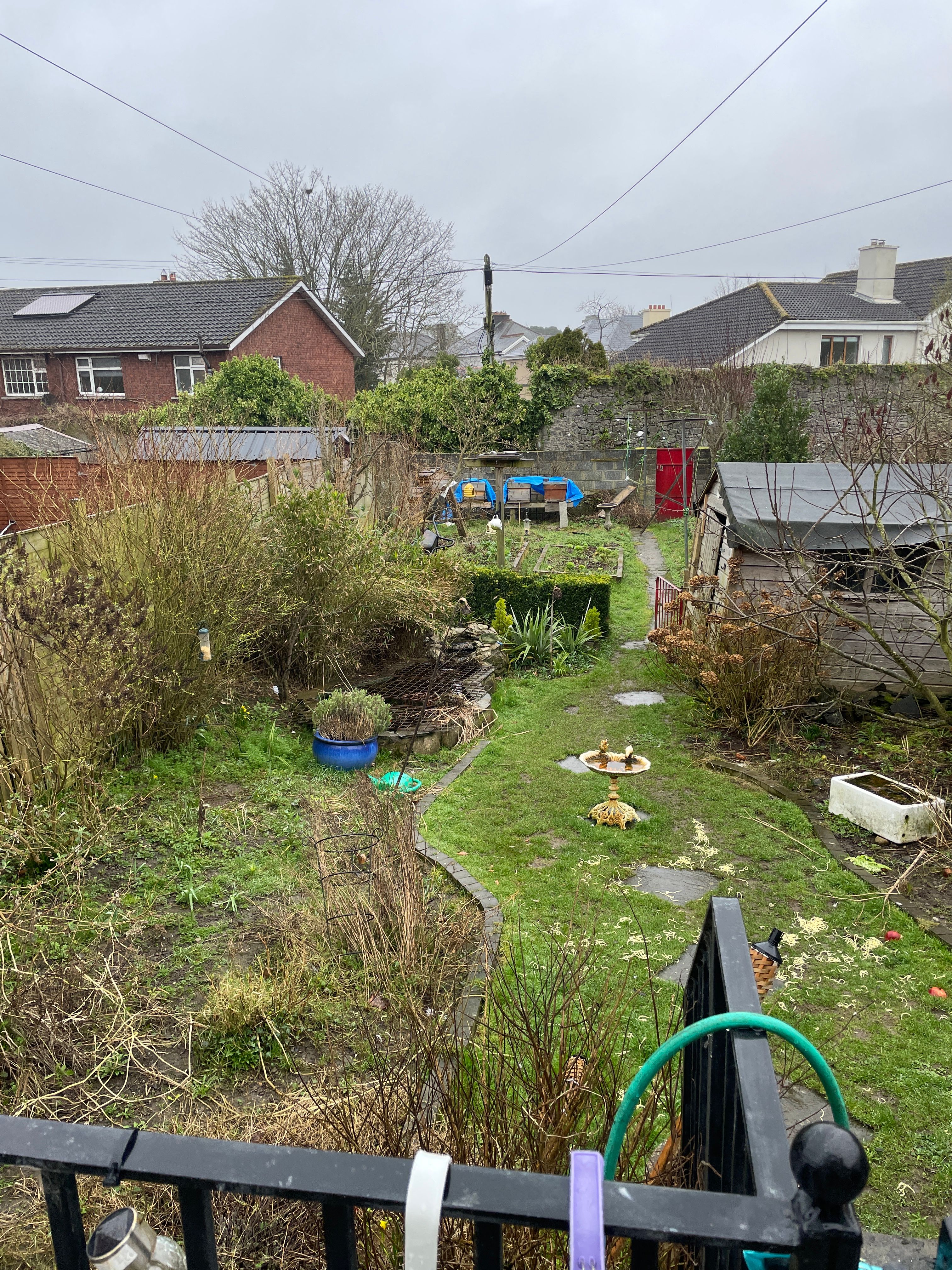image-16