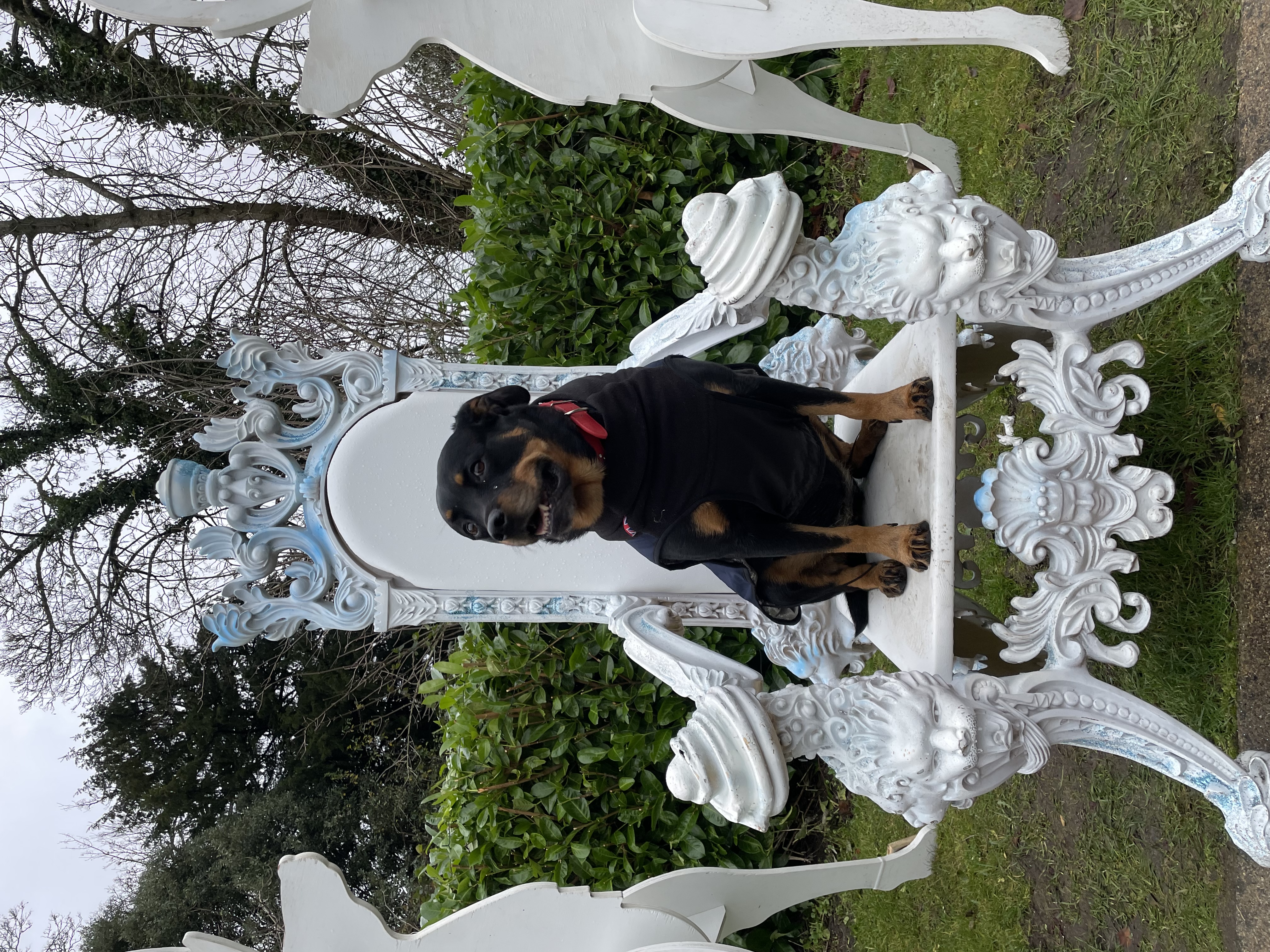 image-6