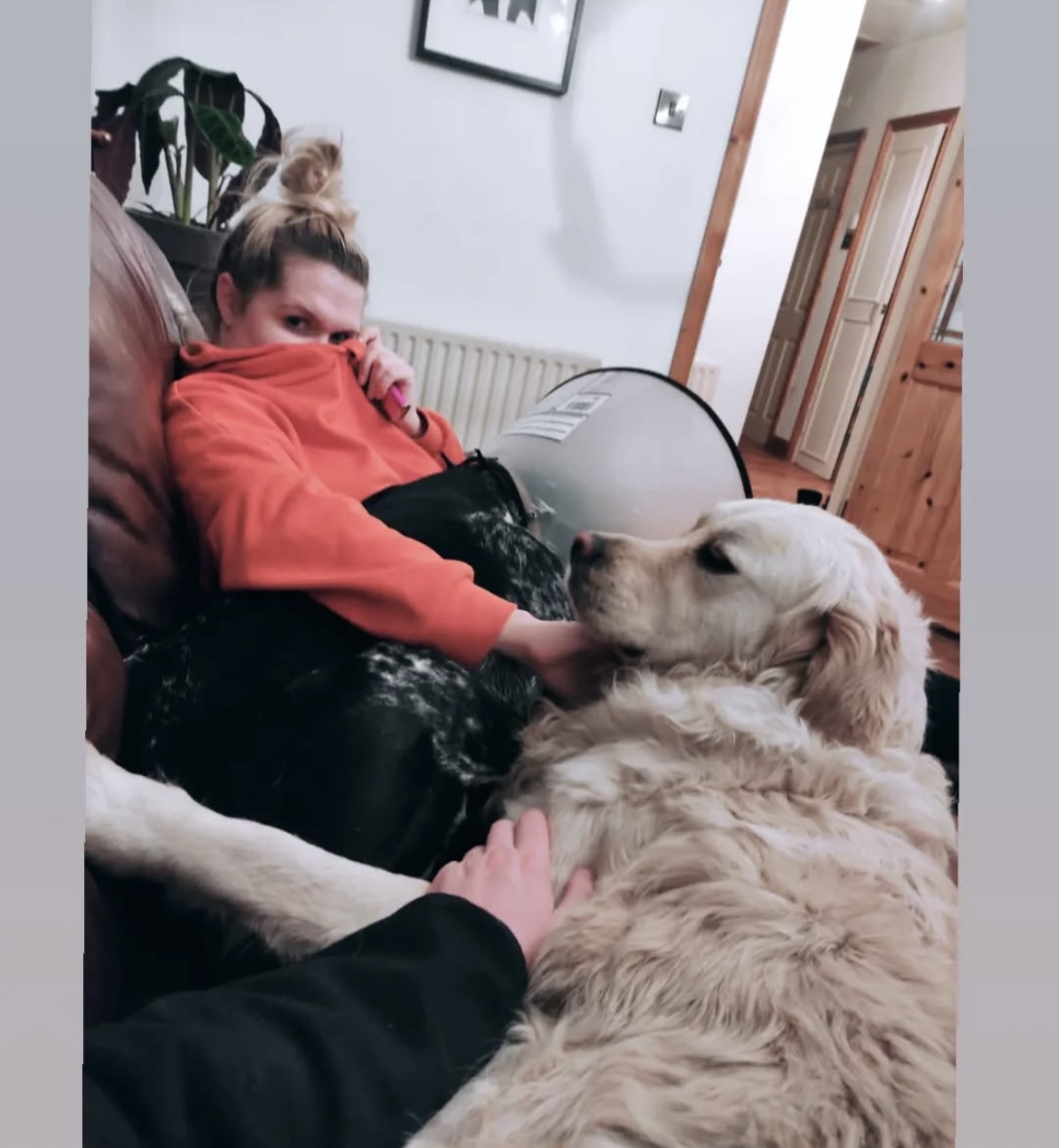 image-7
