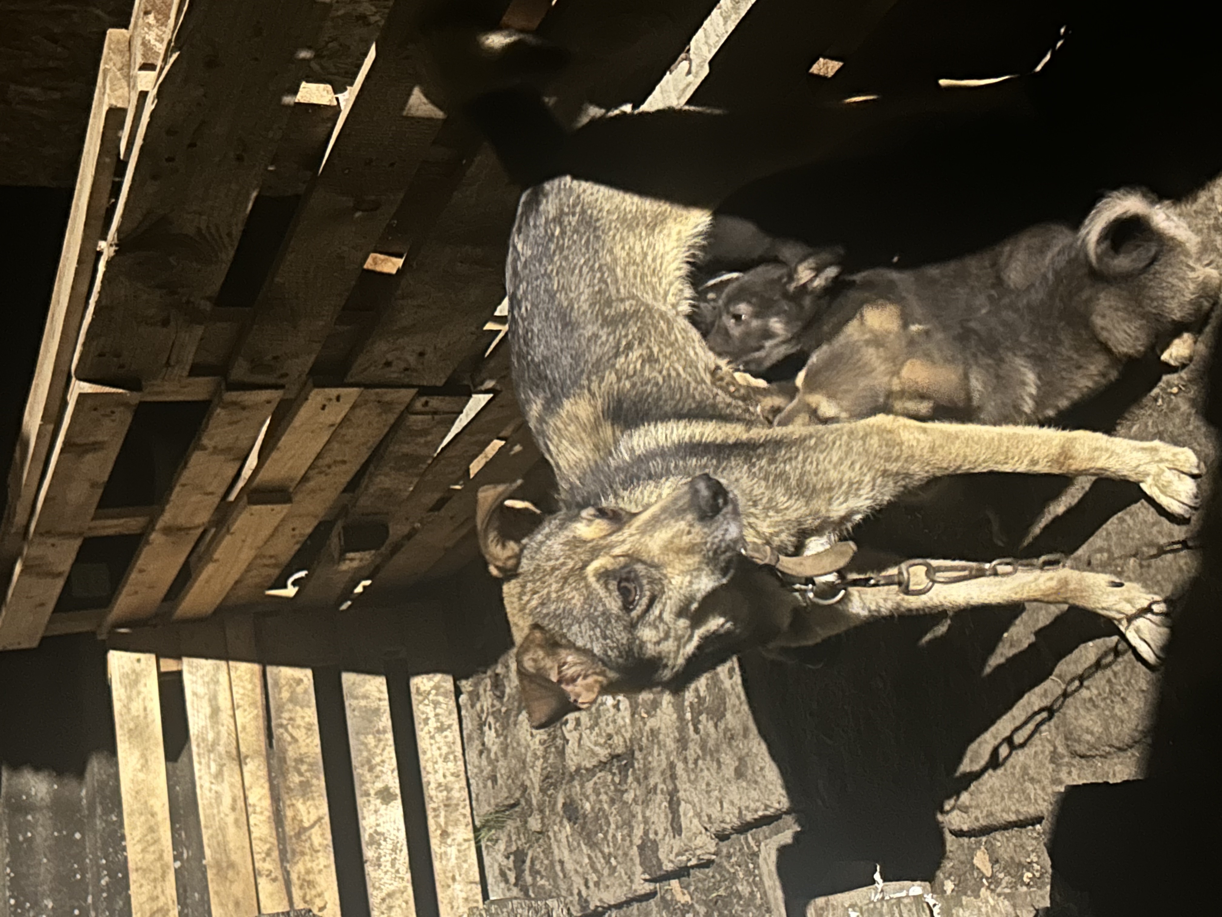 image-8