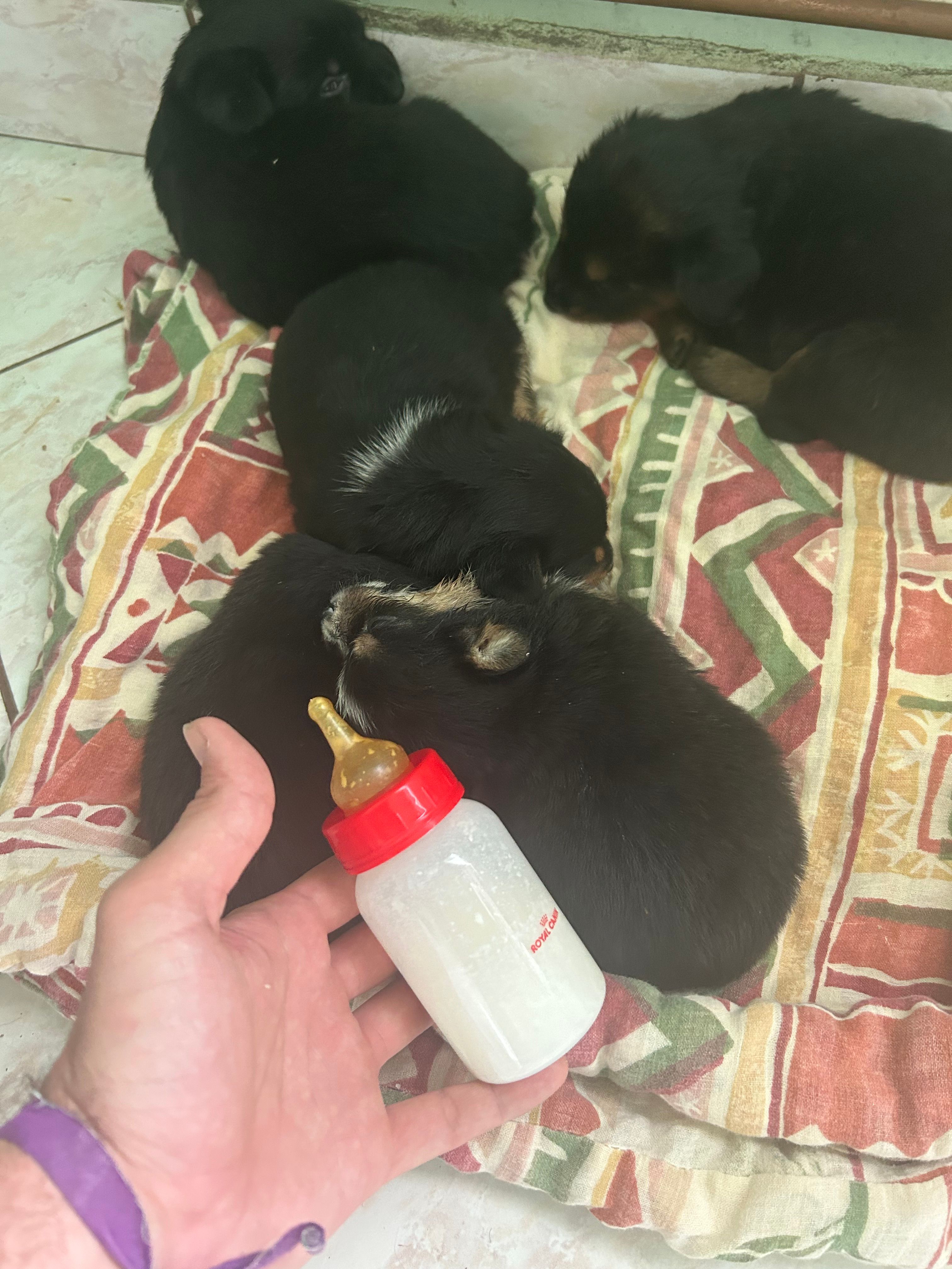 image-6