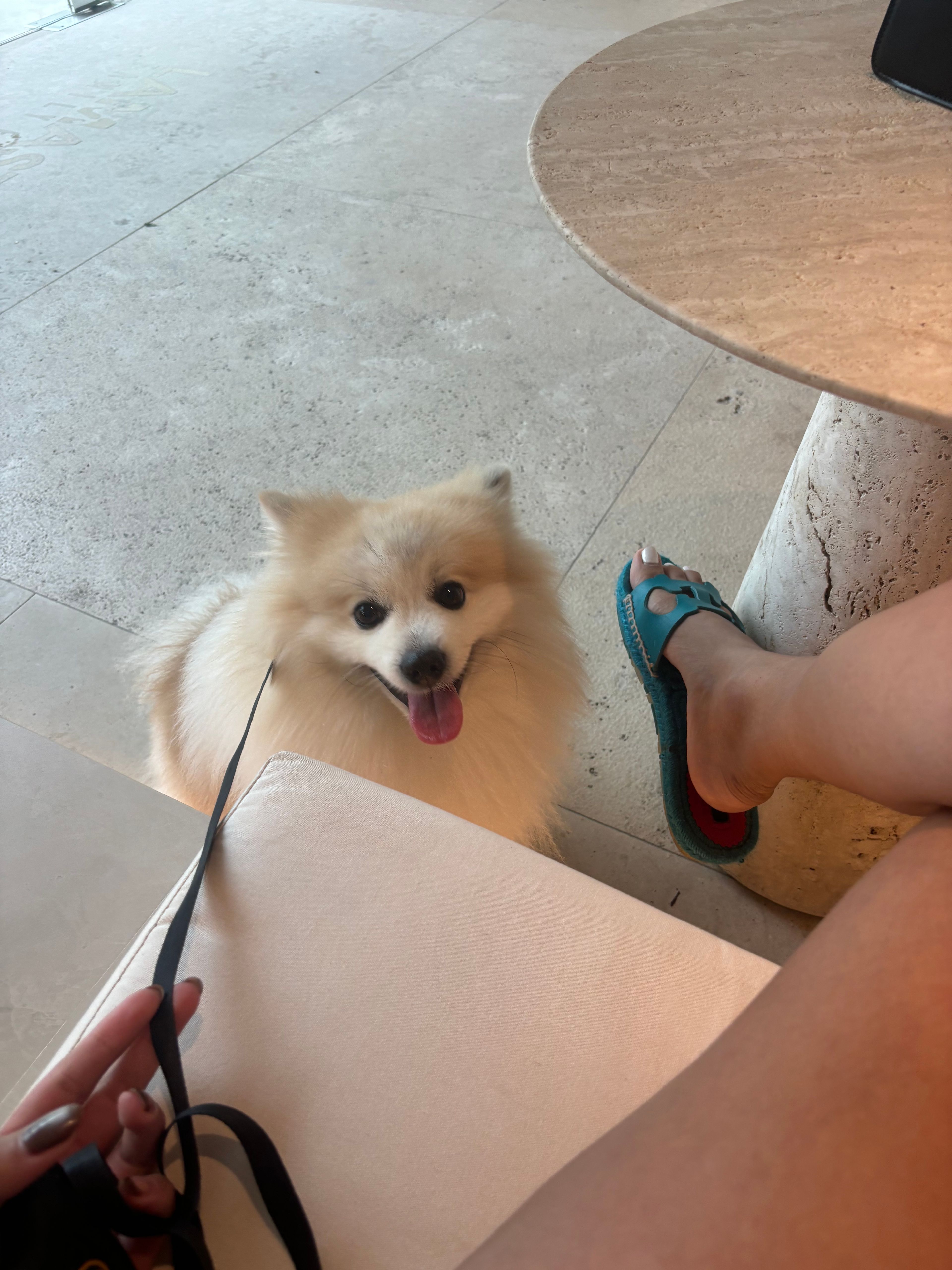 image-10