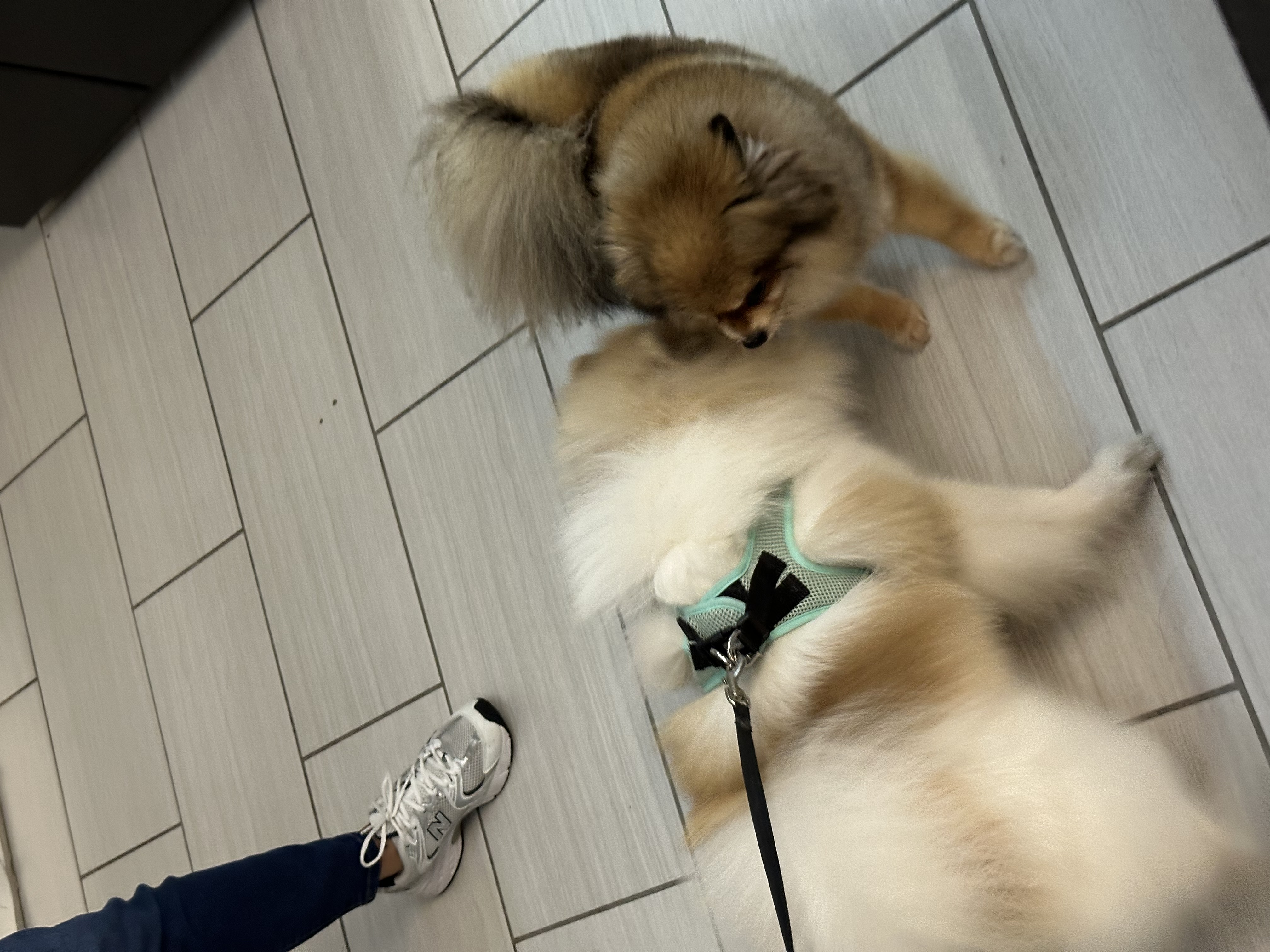 image-7