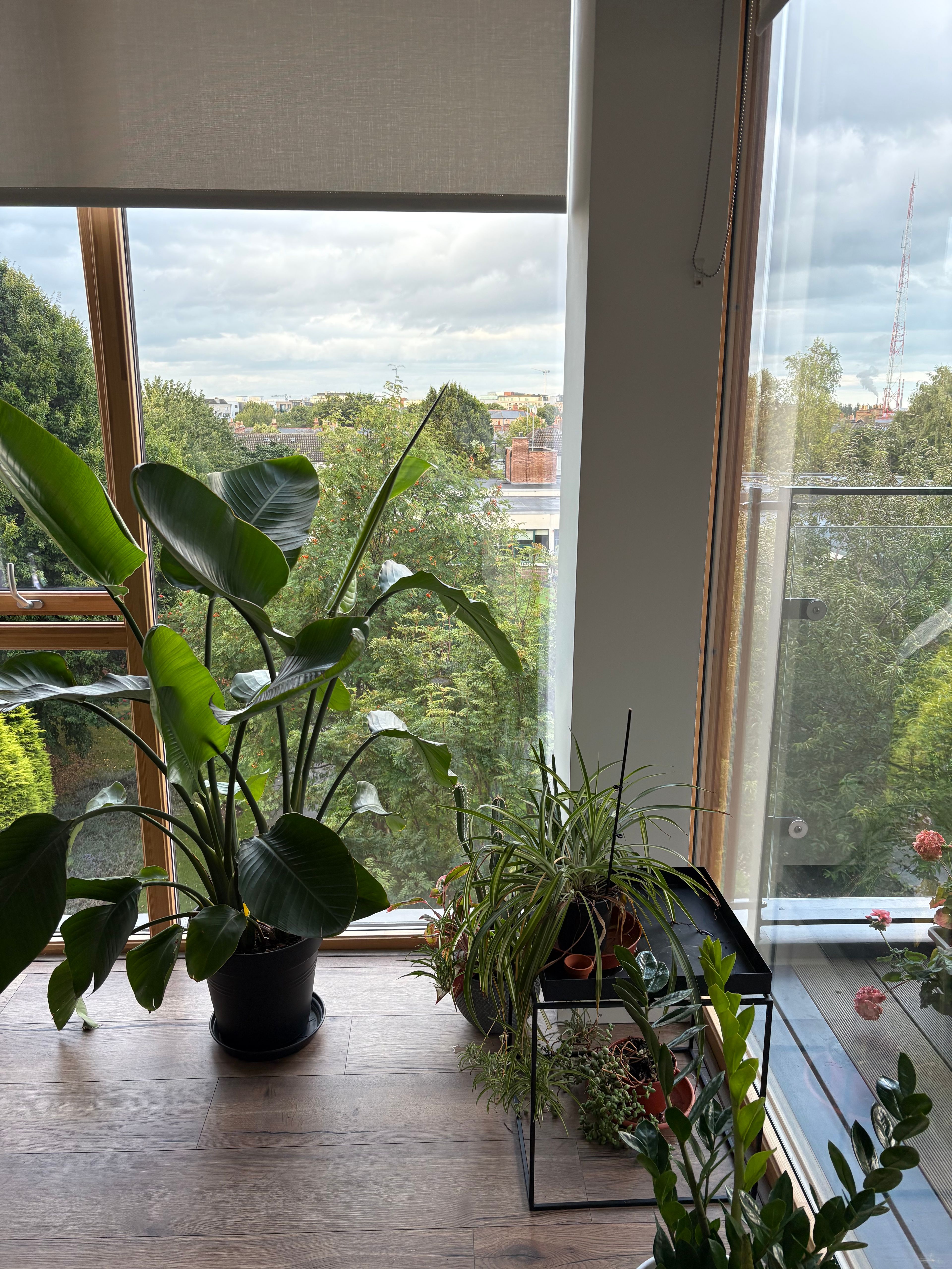 image-14