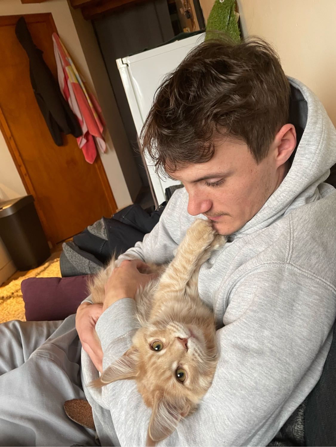 image-2