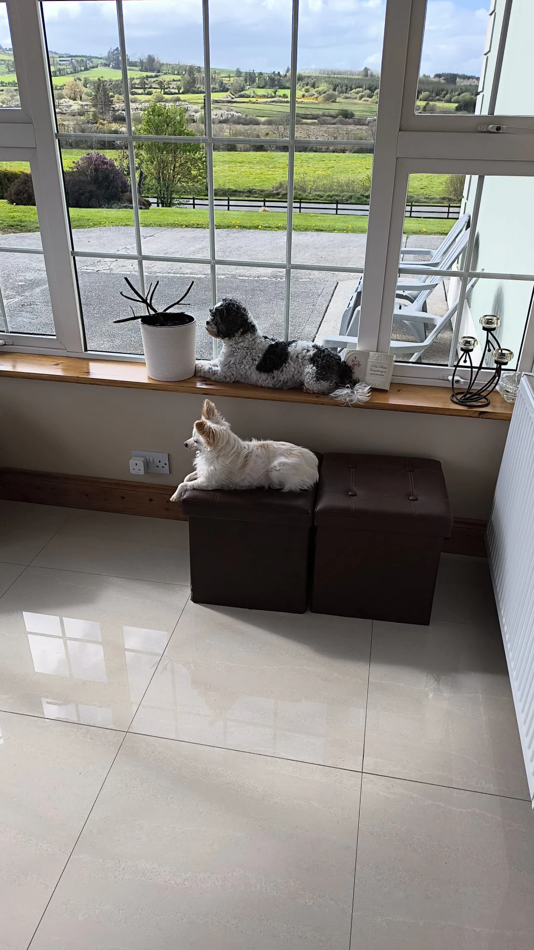 image-14