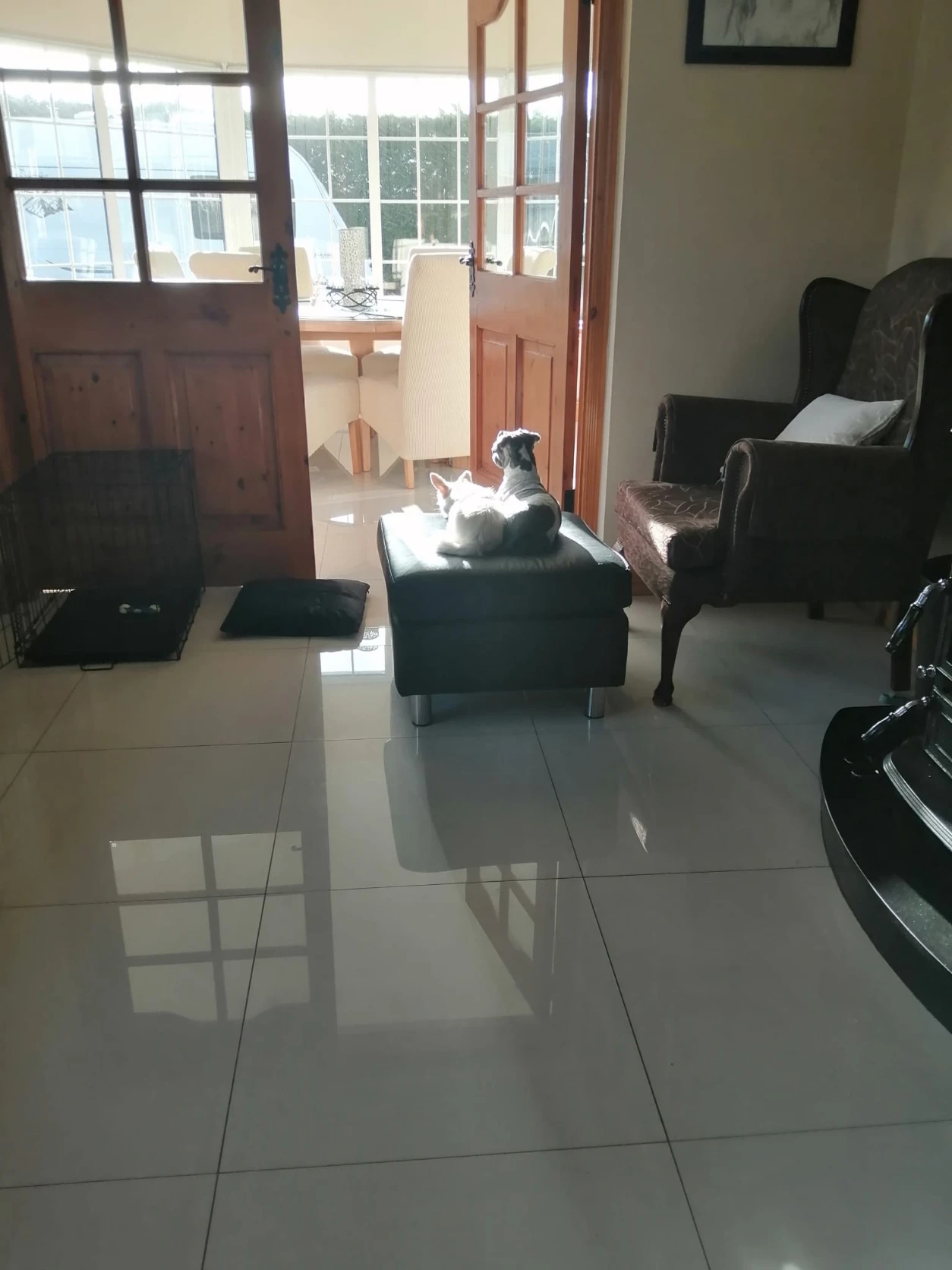 image-19