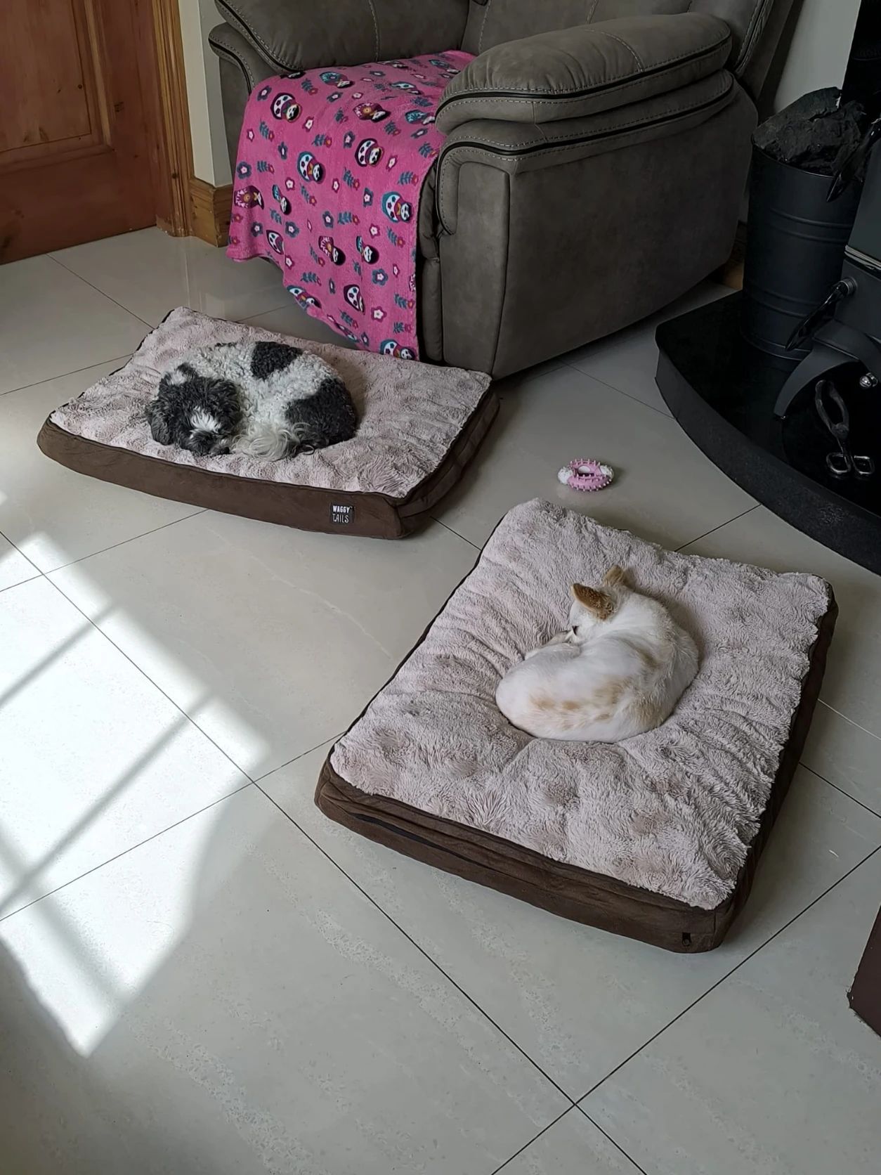 image-13