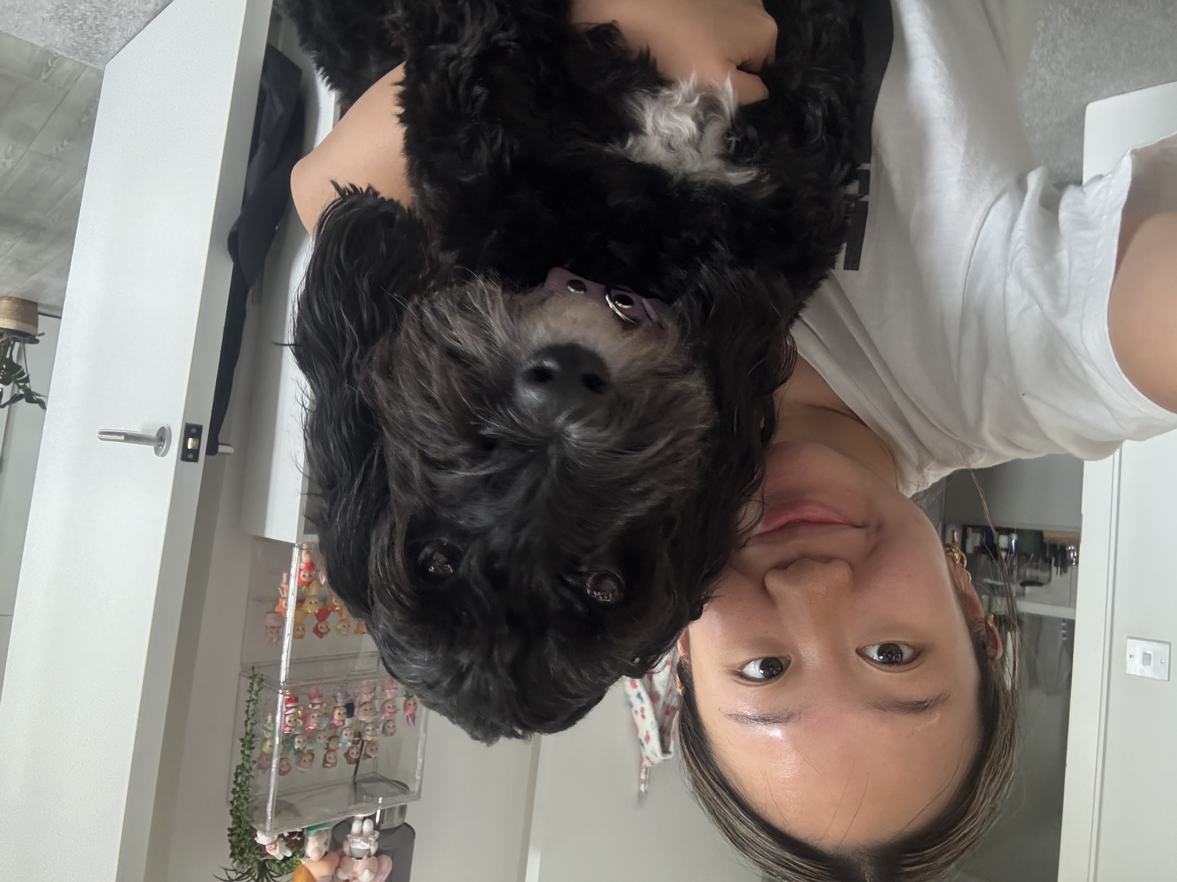 image-4