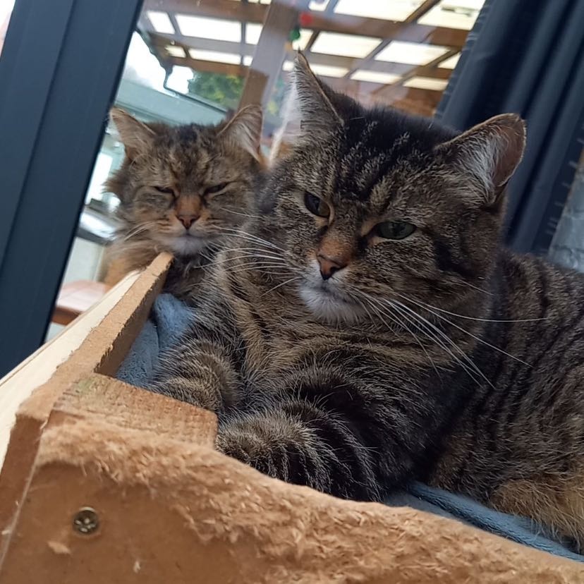 rakker & fleur 