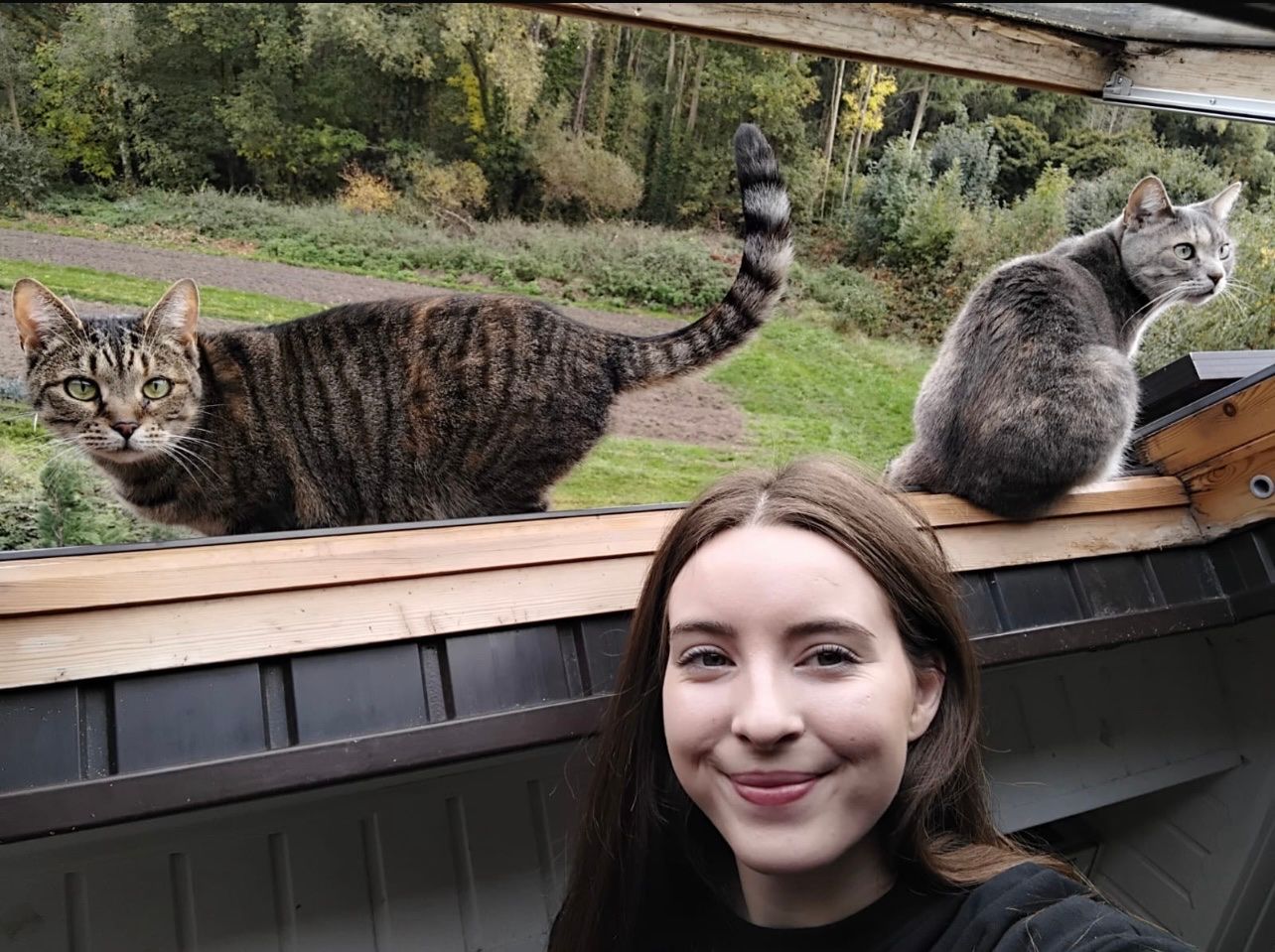 image-2