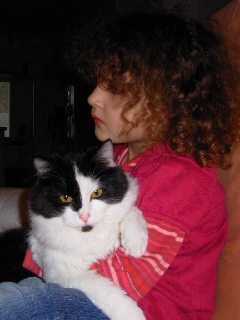 image-2