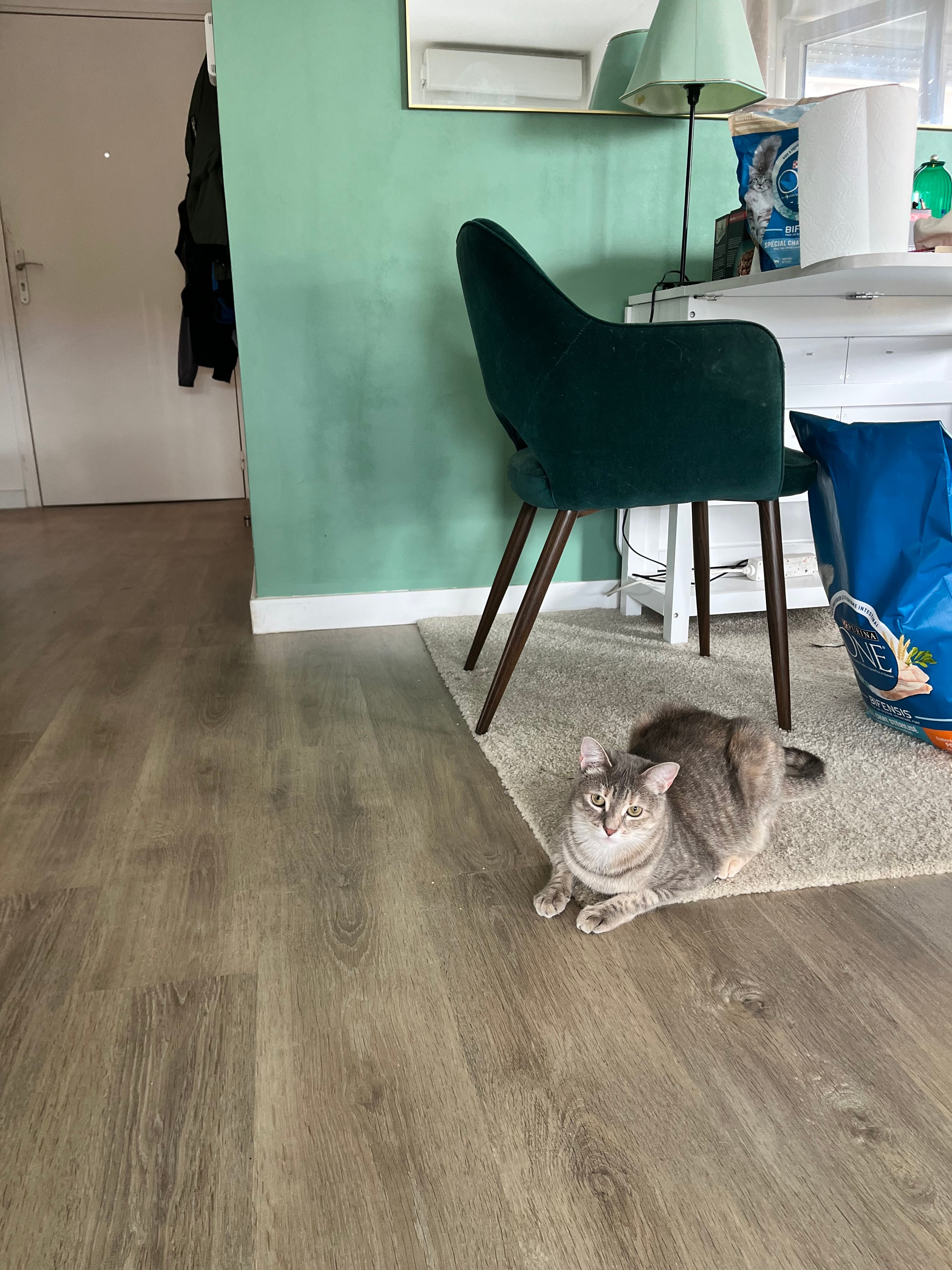 image-18