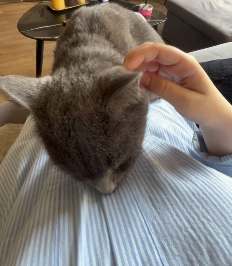 image-8