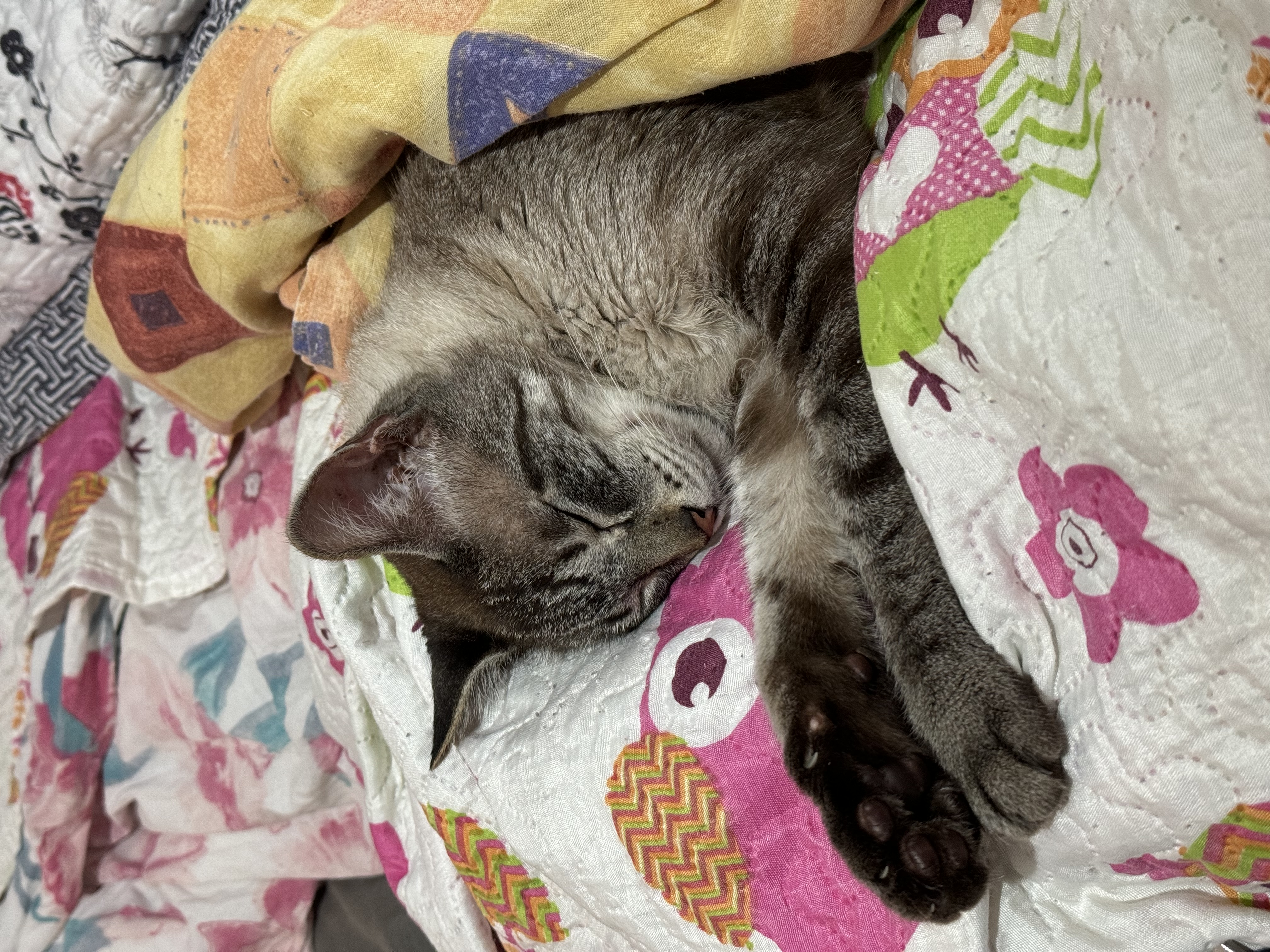 image-8