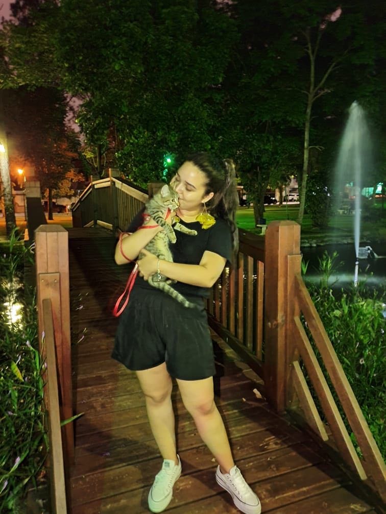 image-7