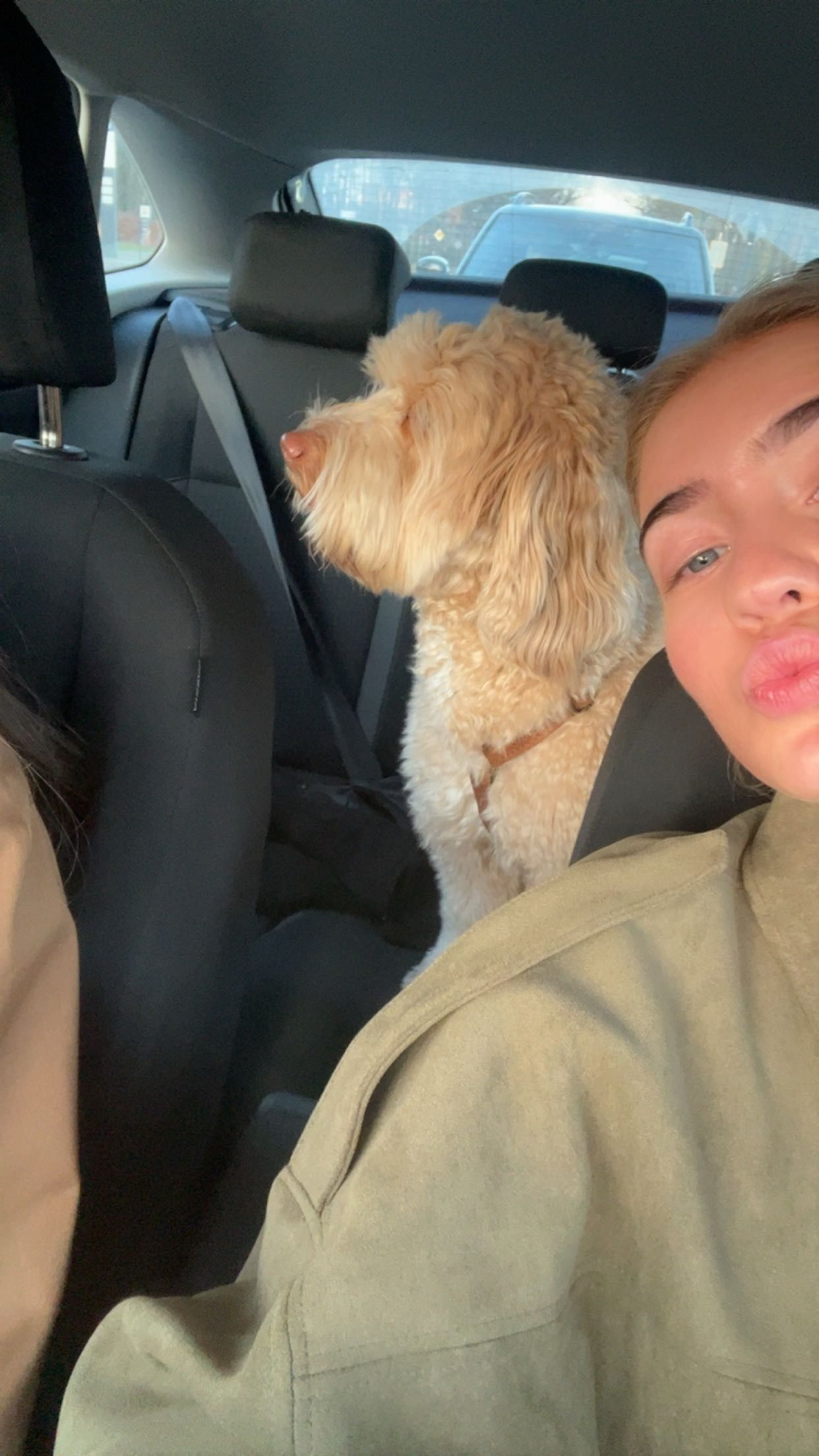 image-6