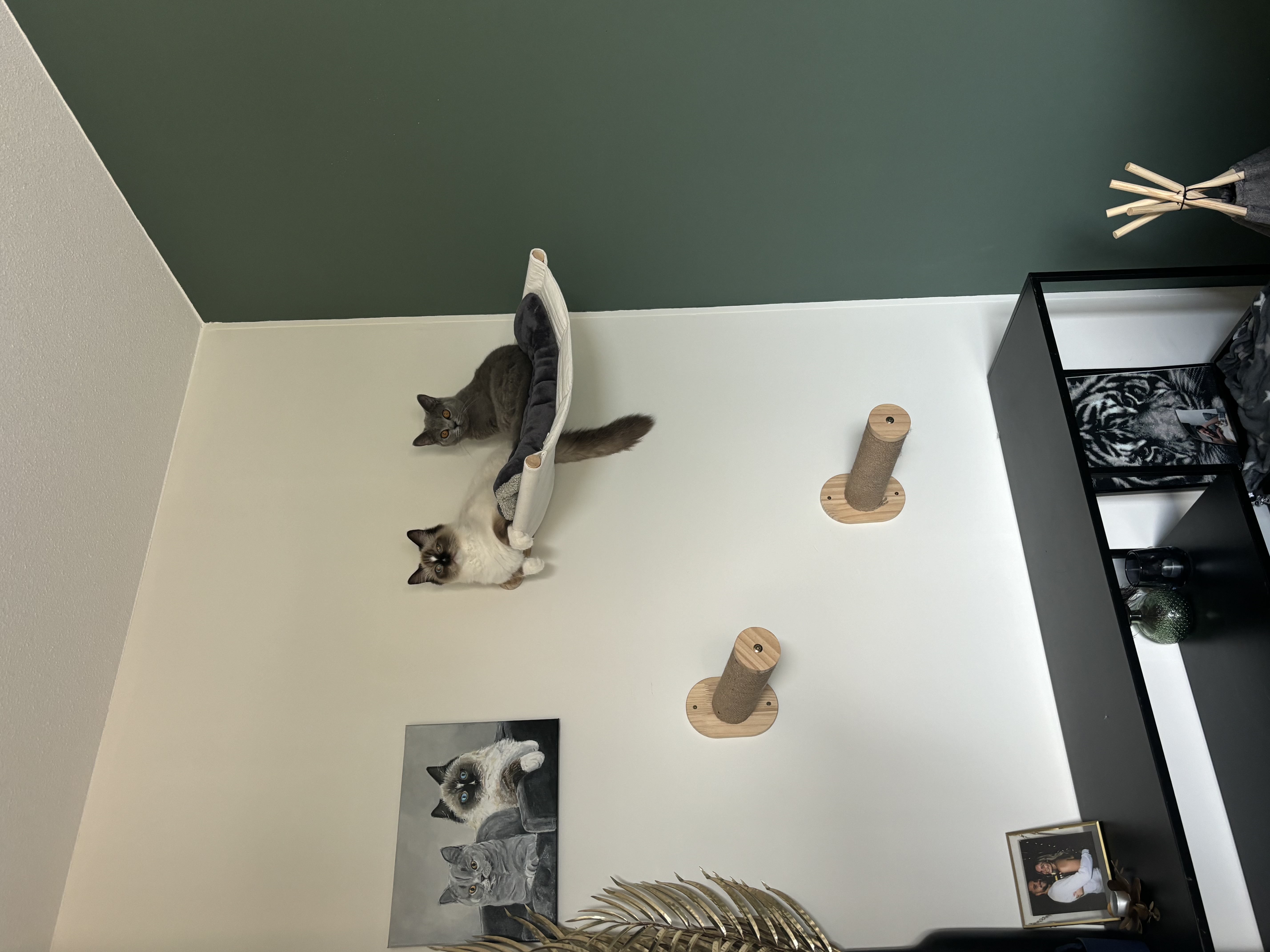 image-8