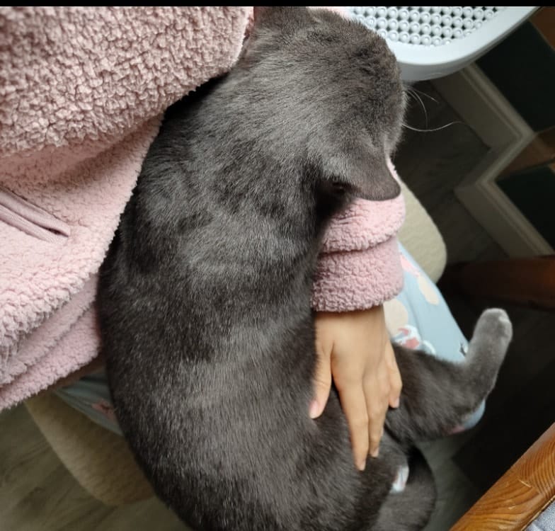 image-6