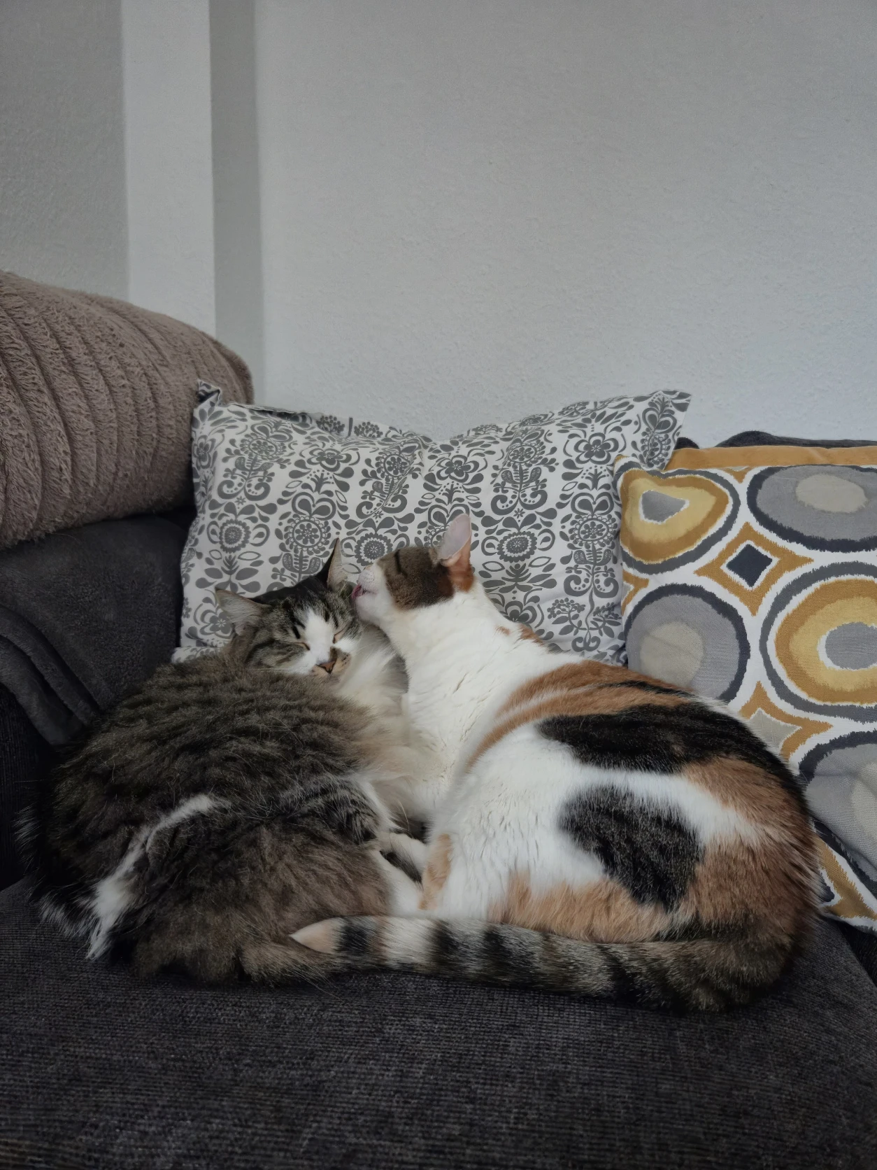 image-16
