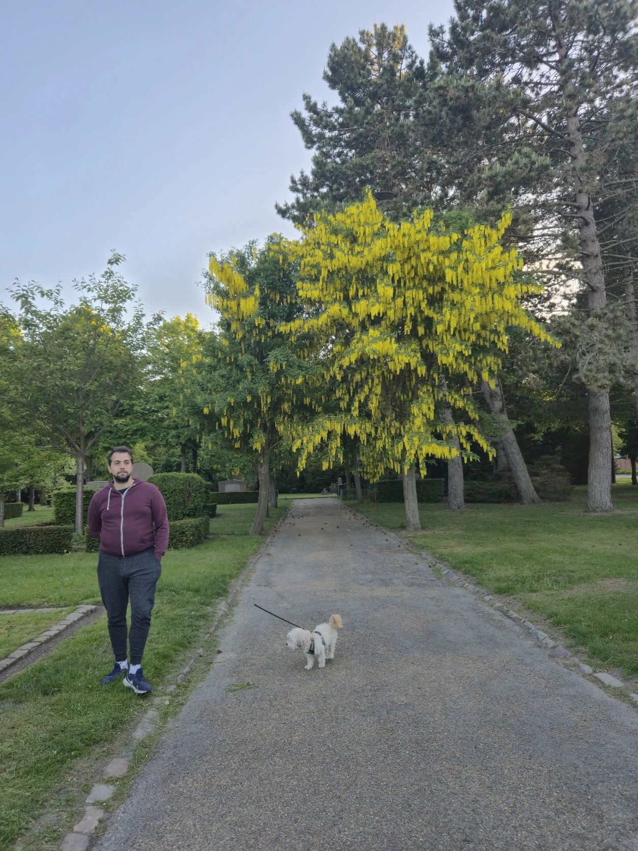 image-9
