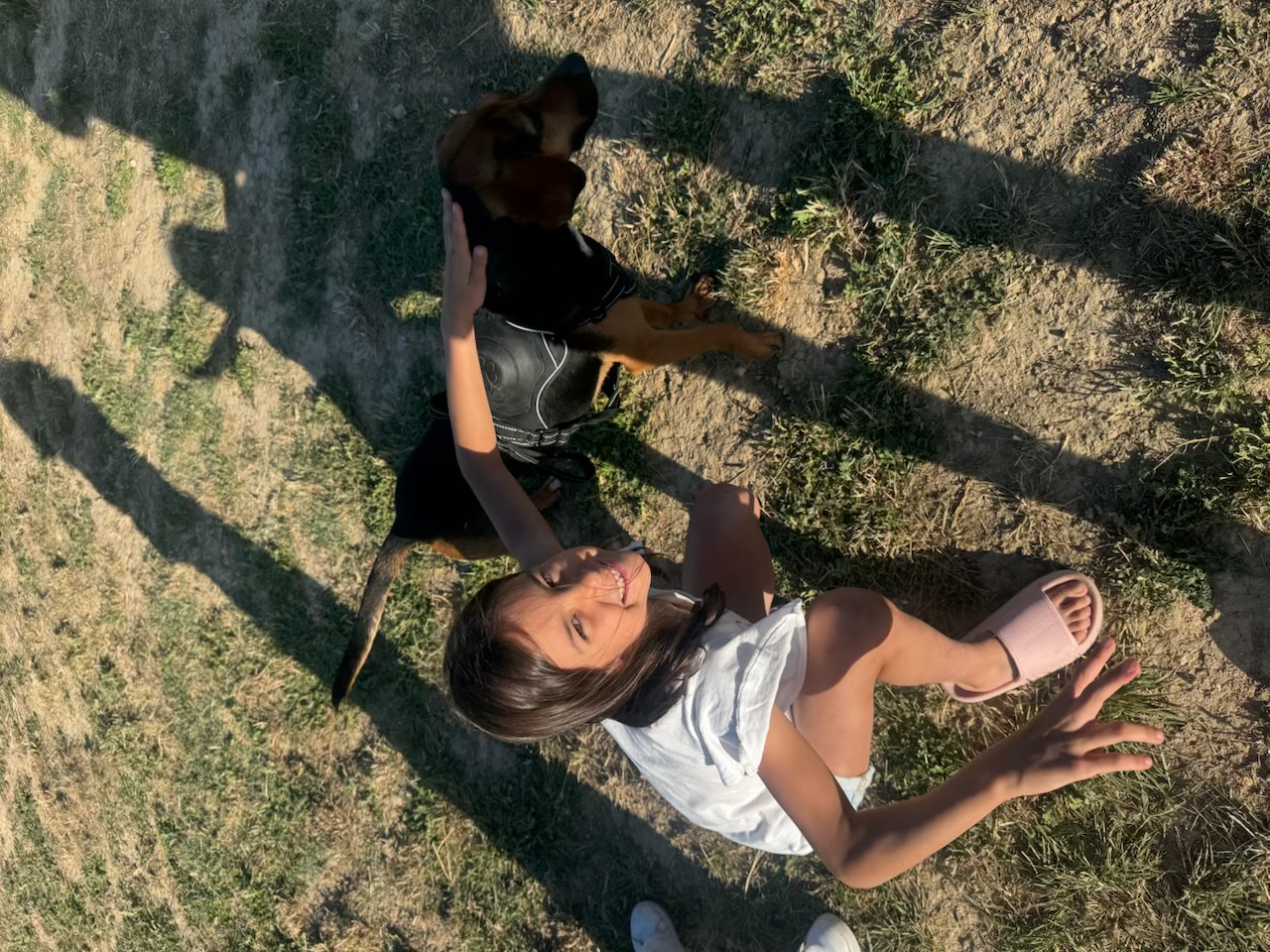 image-11