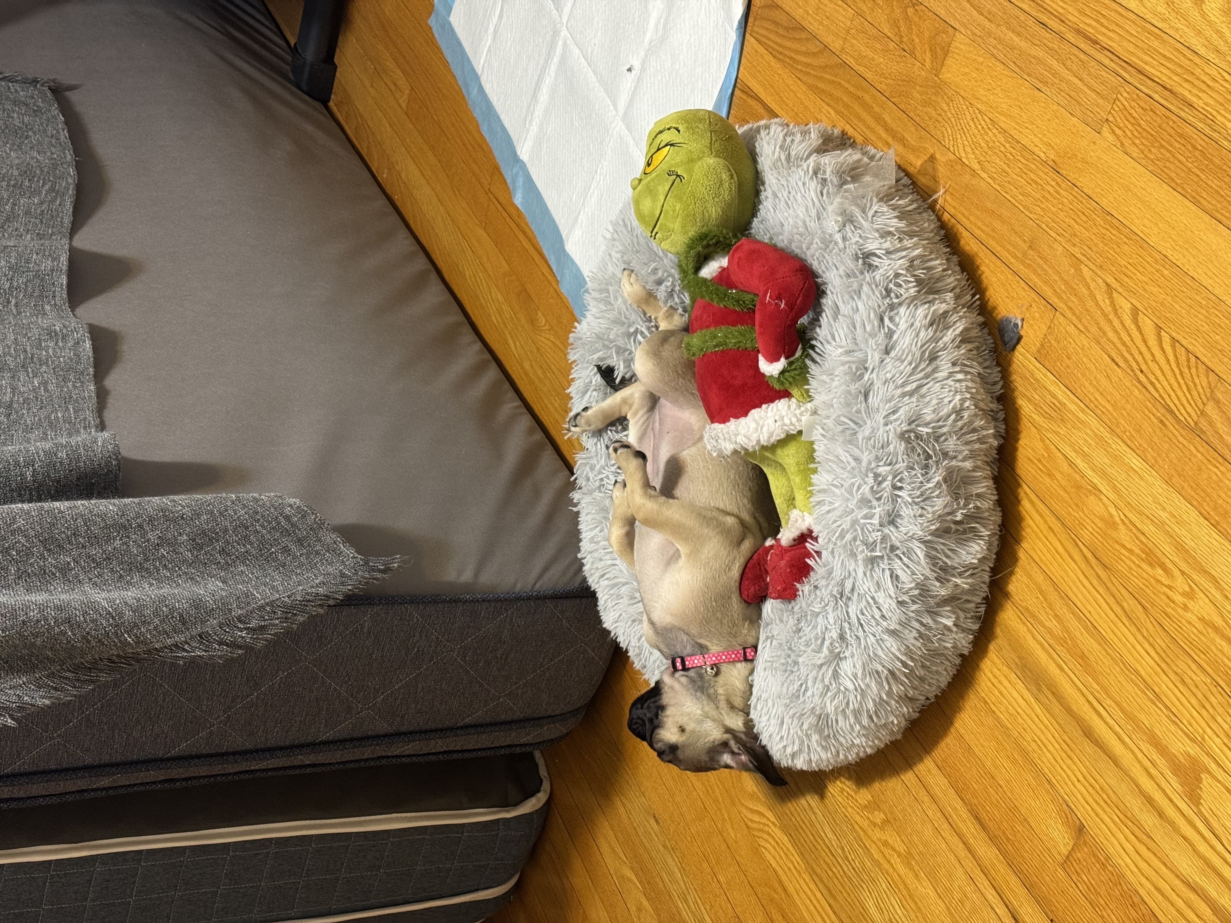 image-11