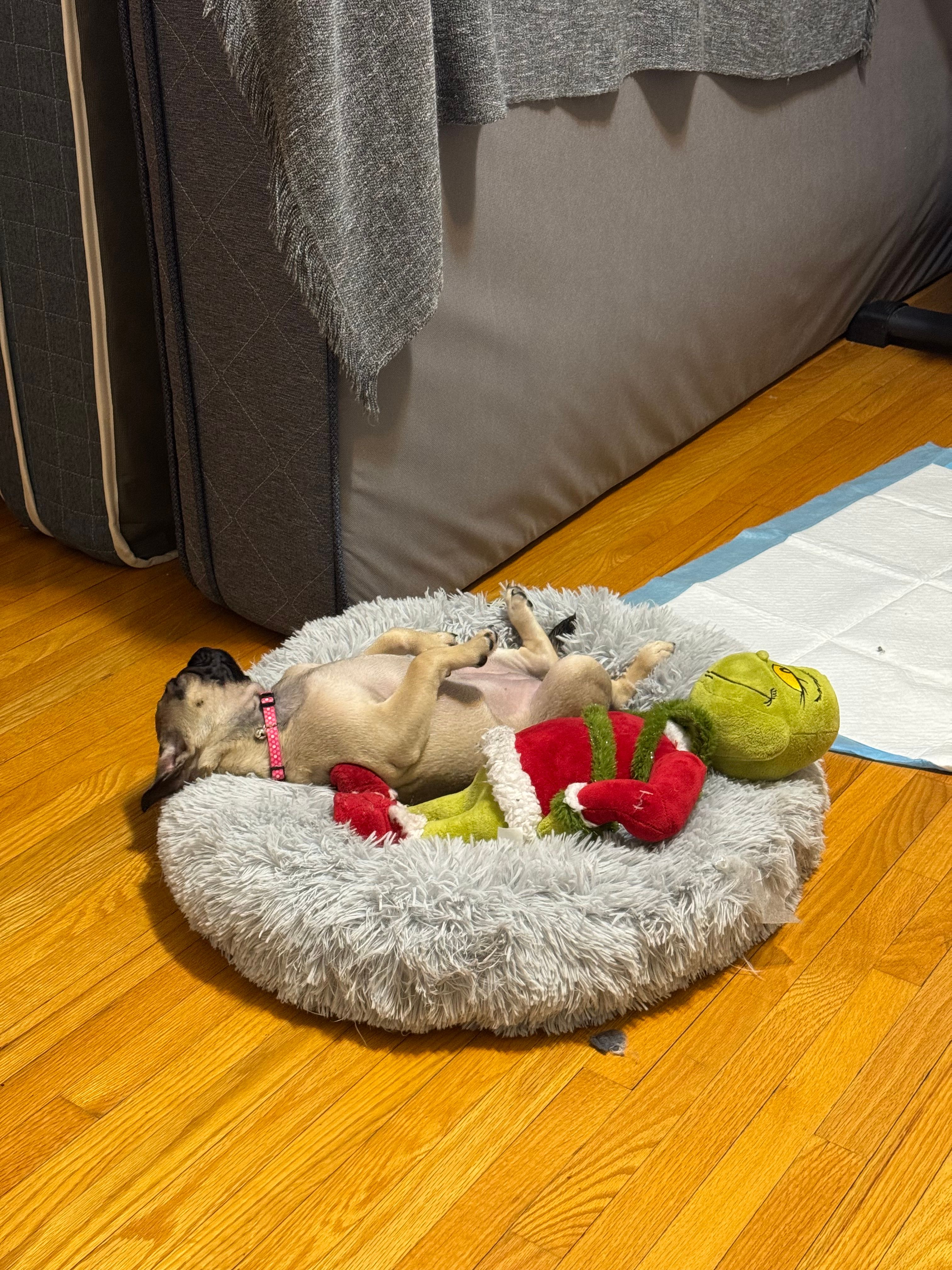 image-11
