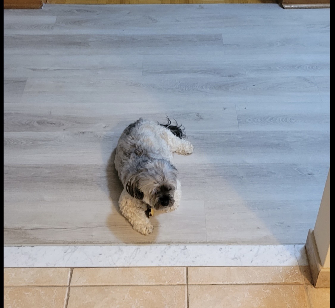 image-6
