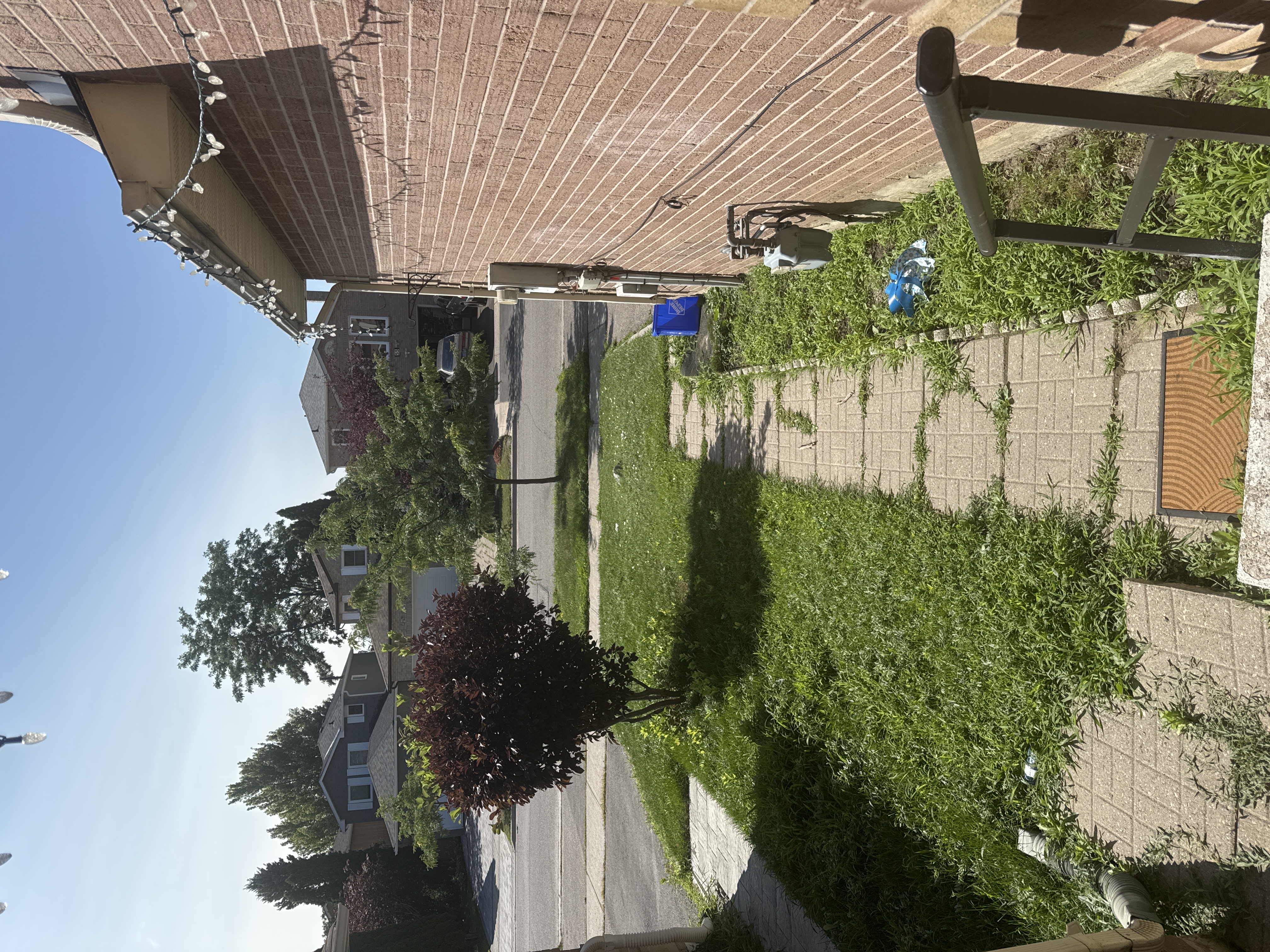 image-14
