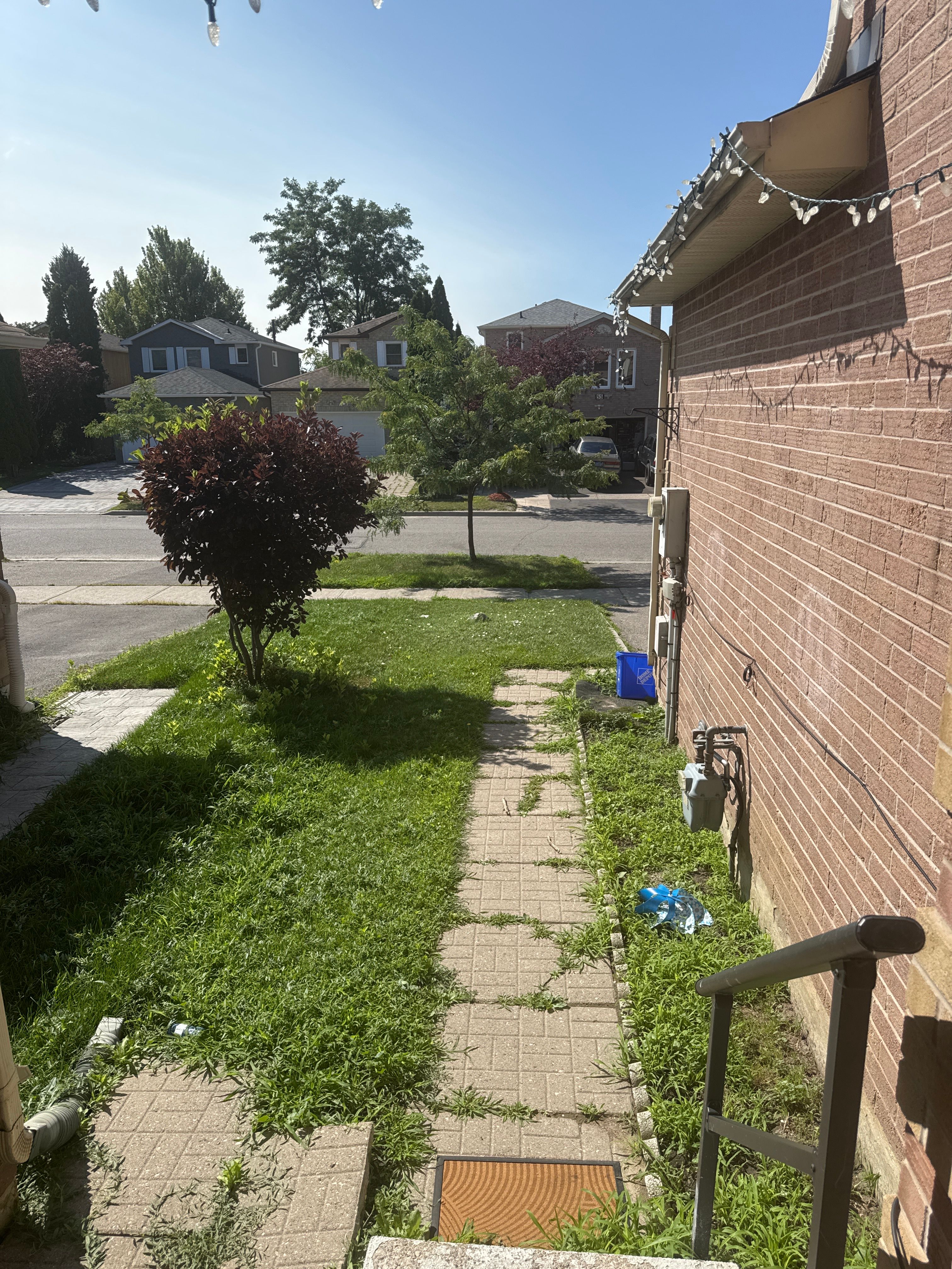 image-14
