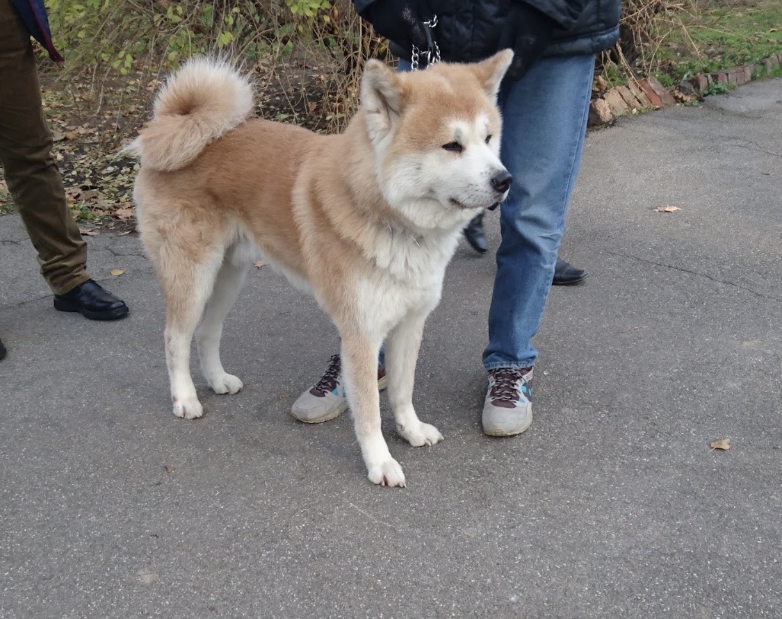 image-5