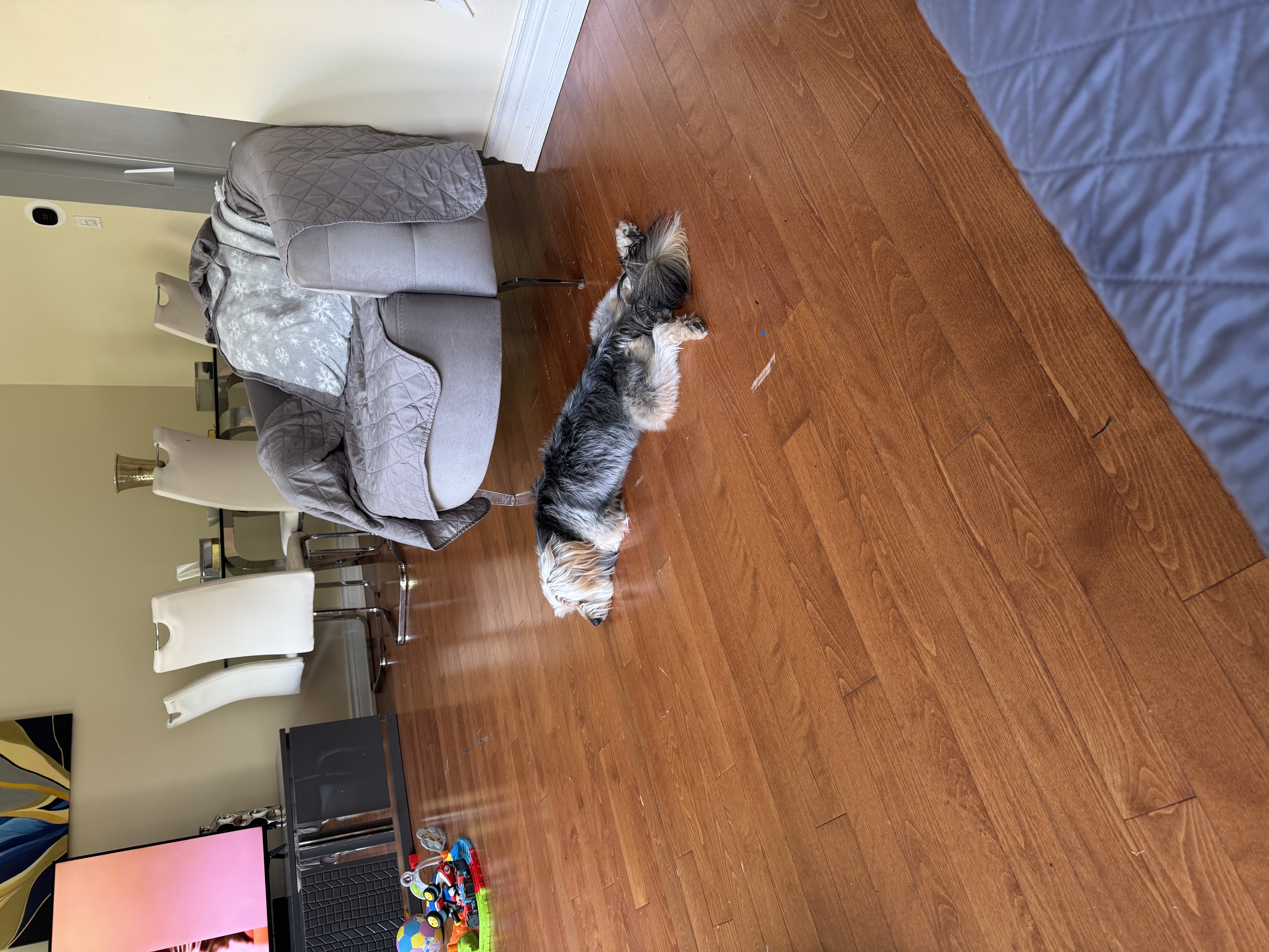 image-20