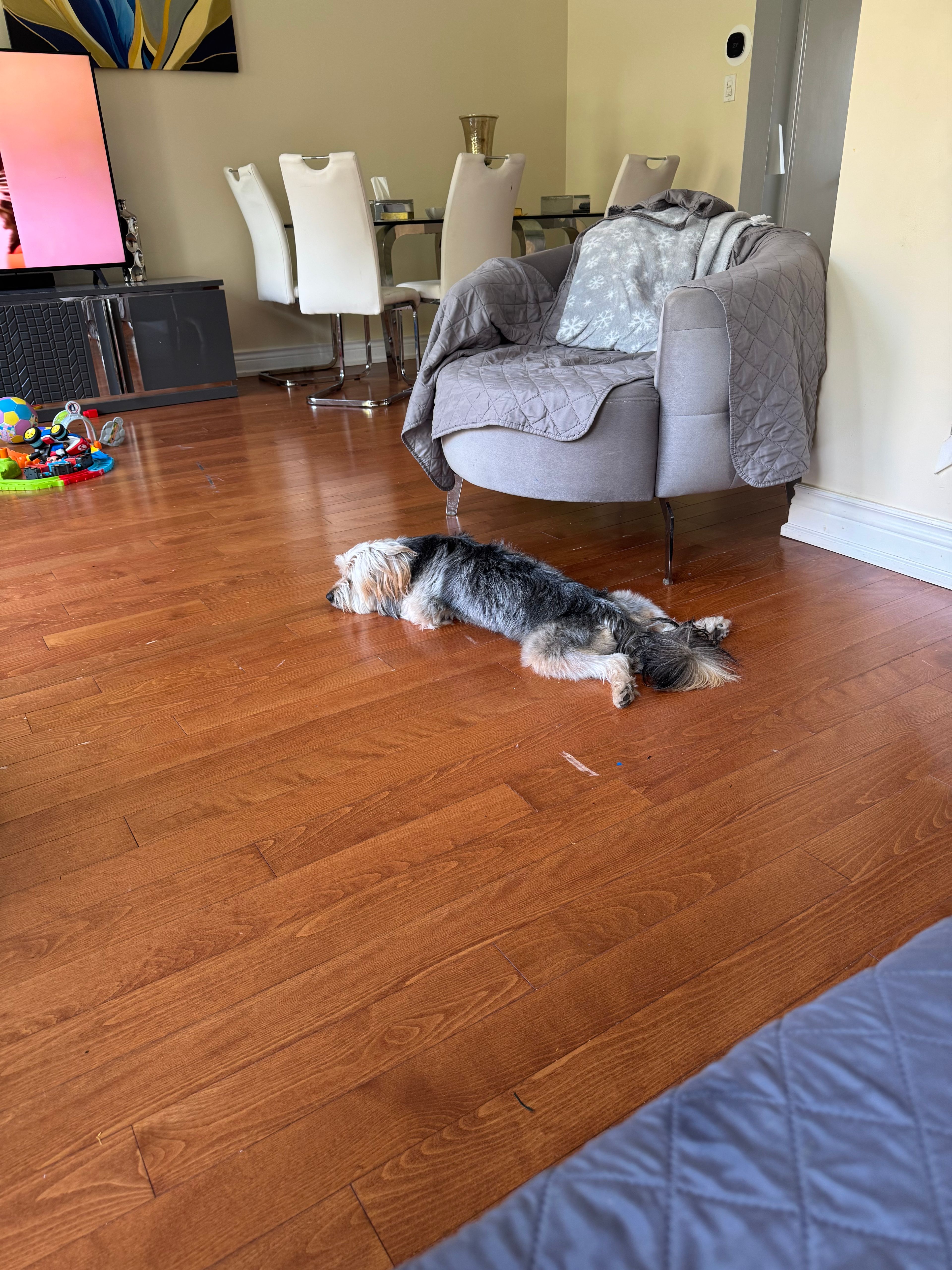 image-20