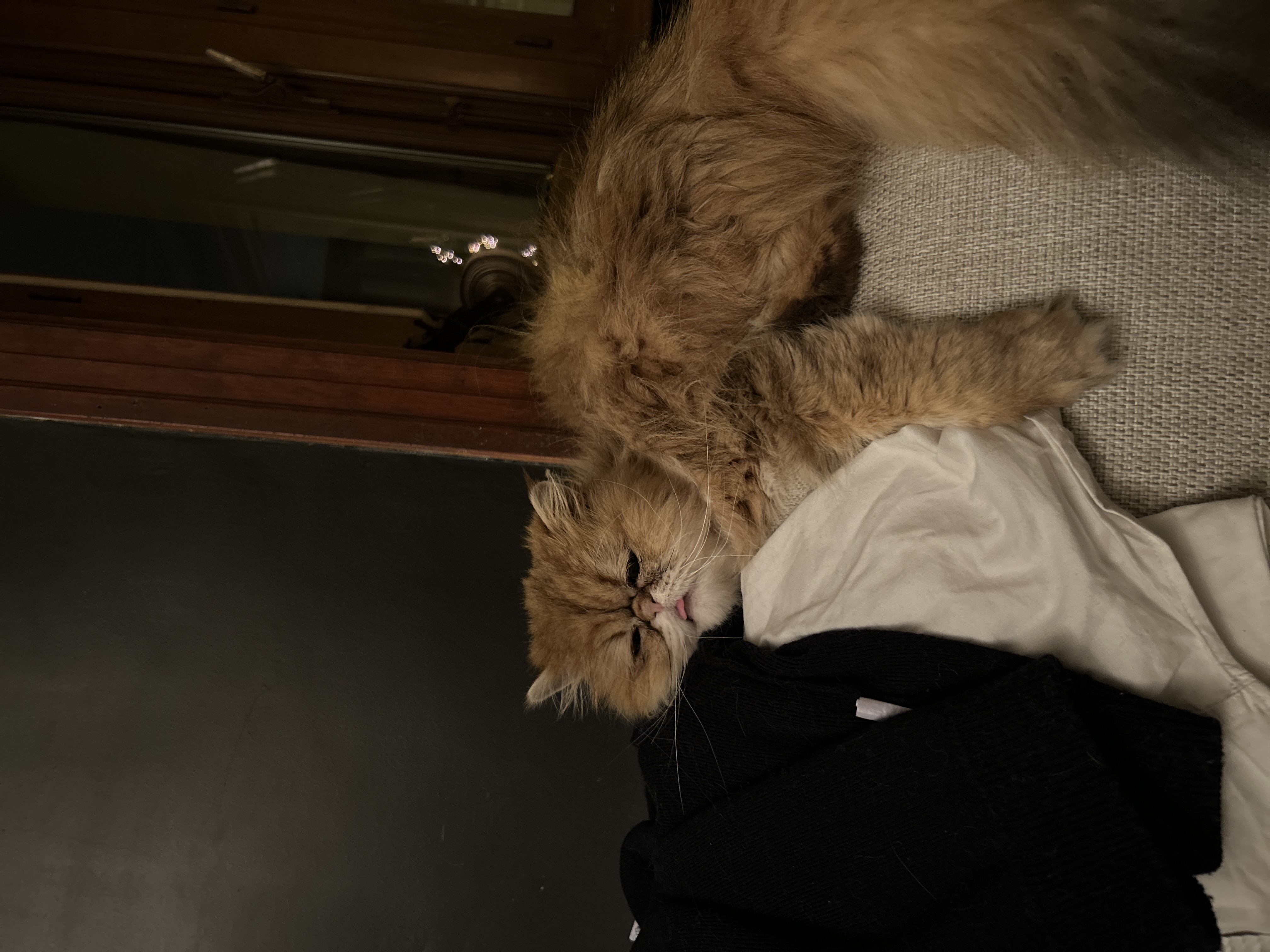 image-8