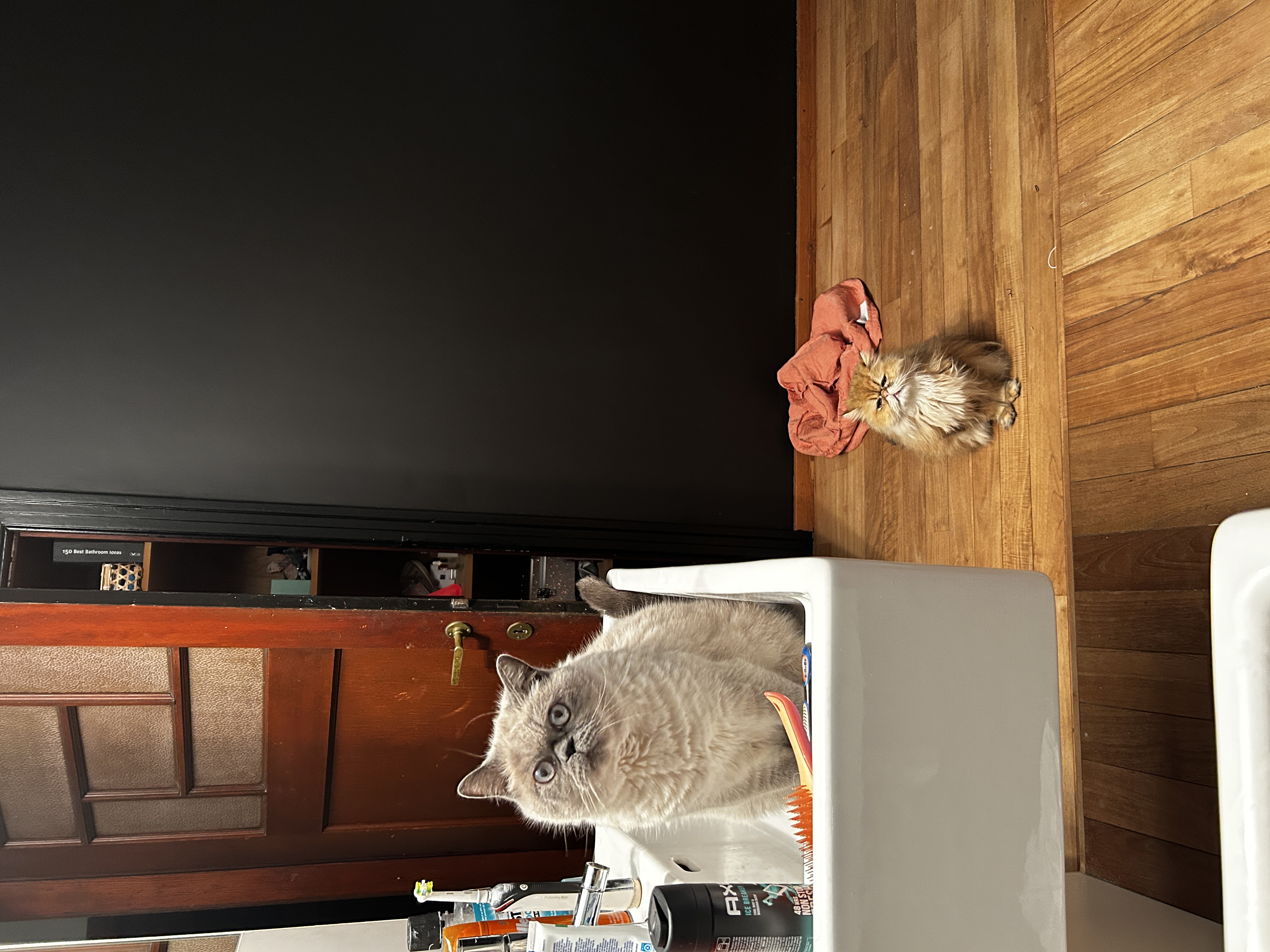 image-7
