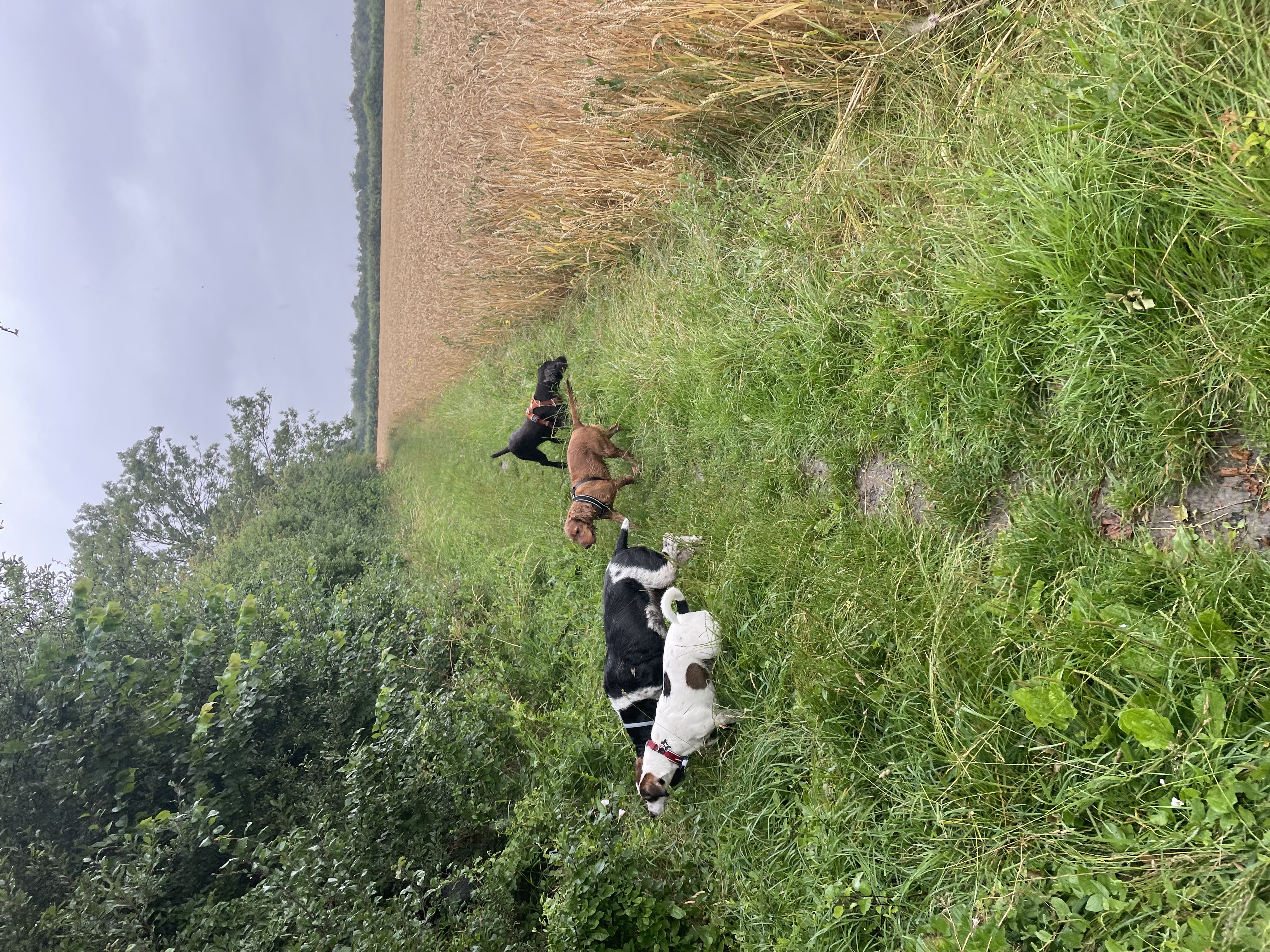 image-6