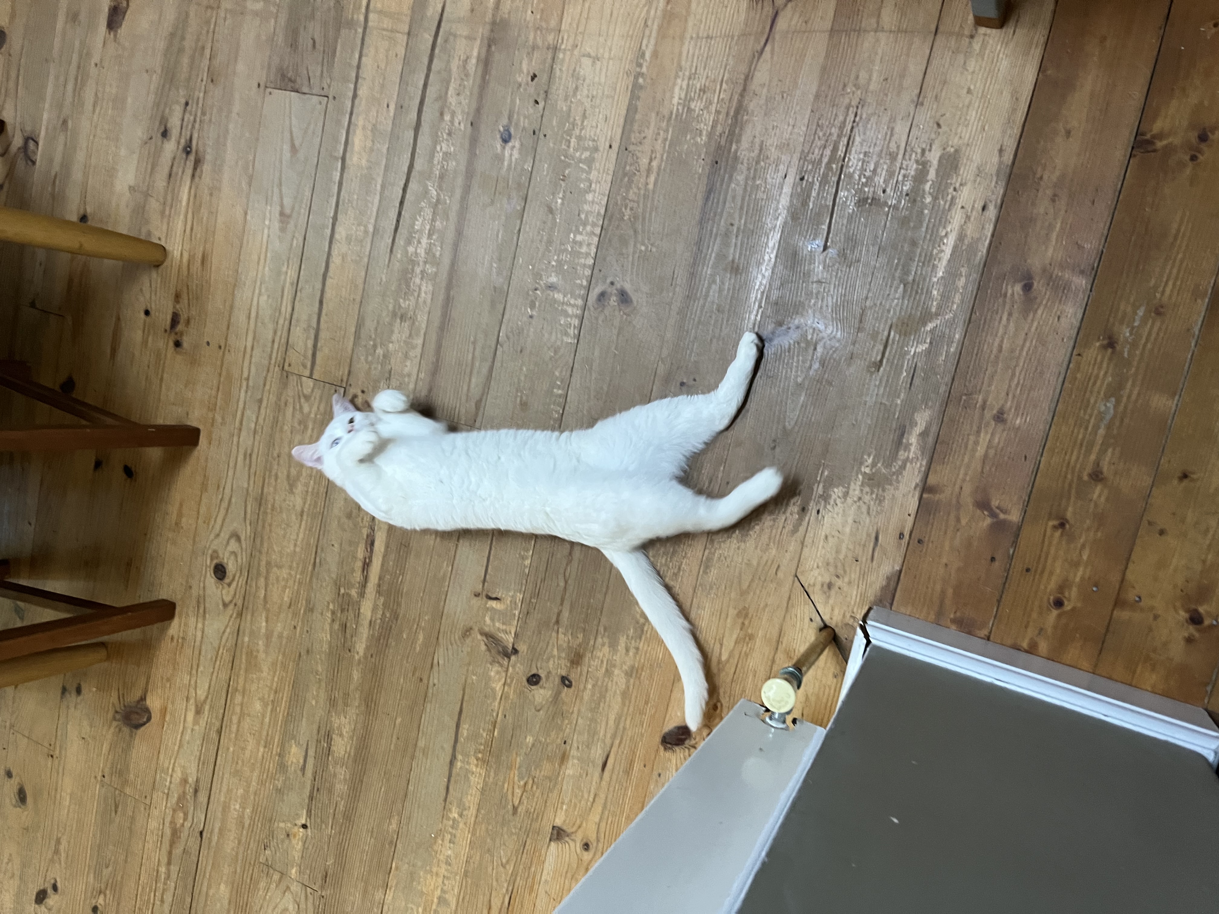 image-11