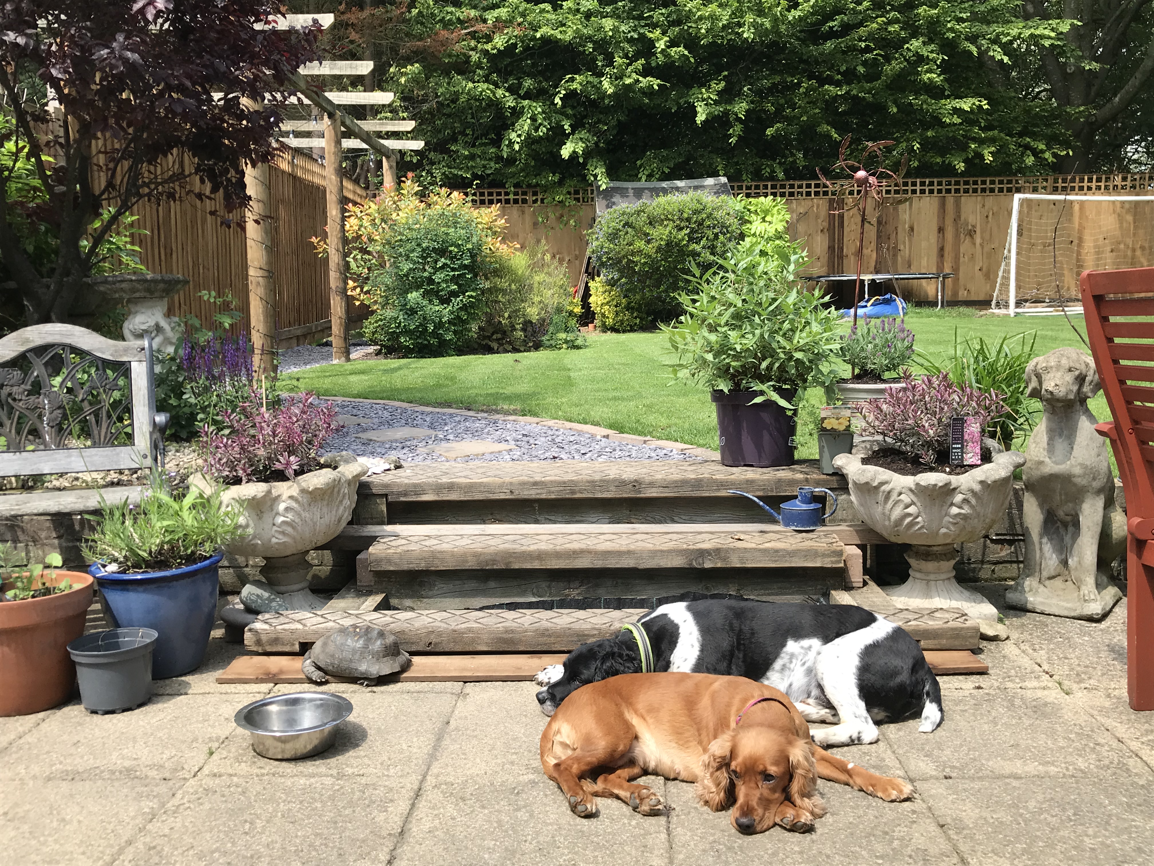 image-18
