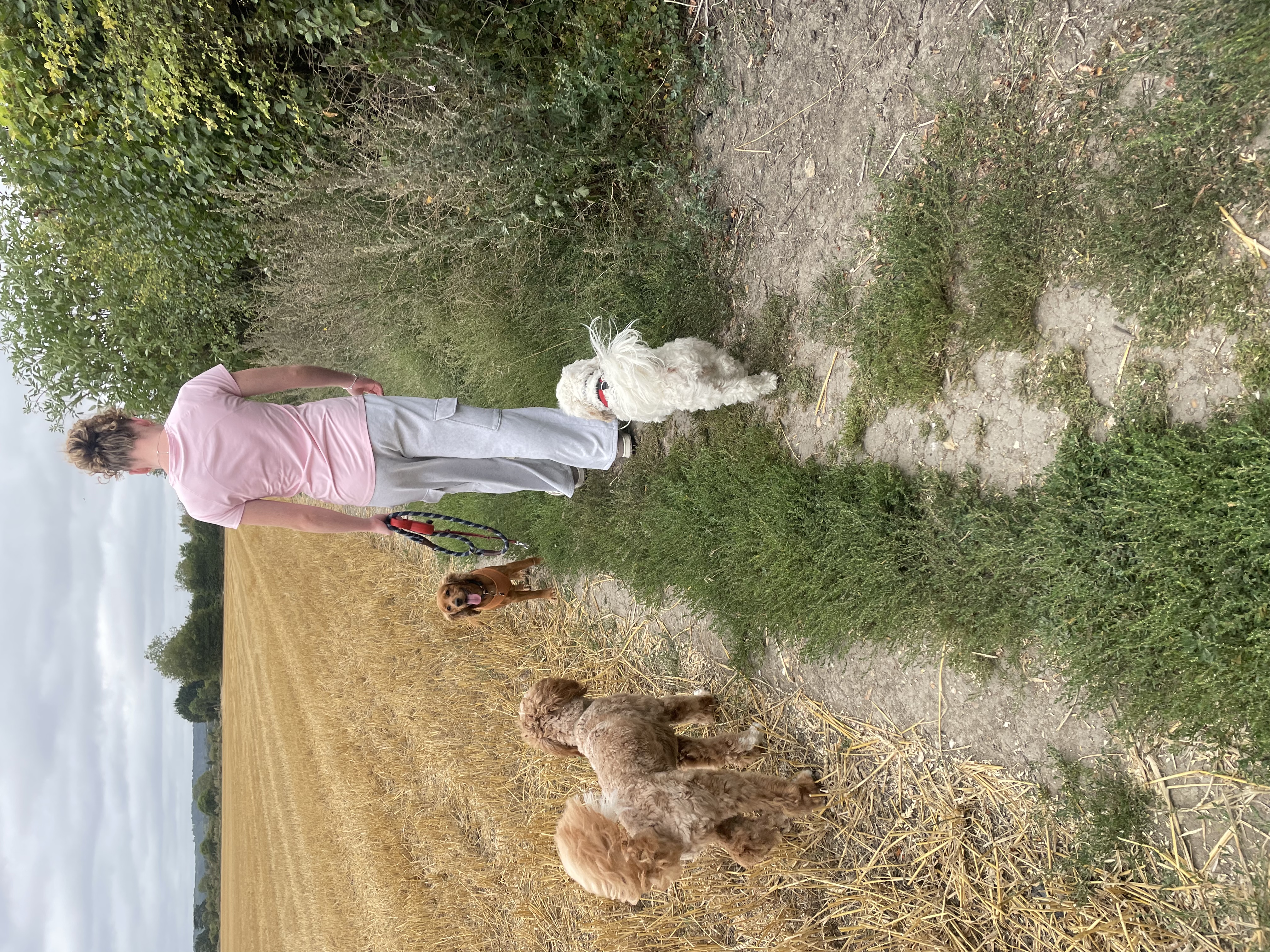 image-2