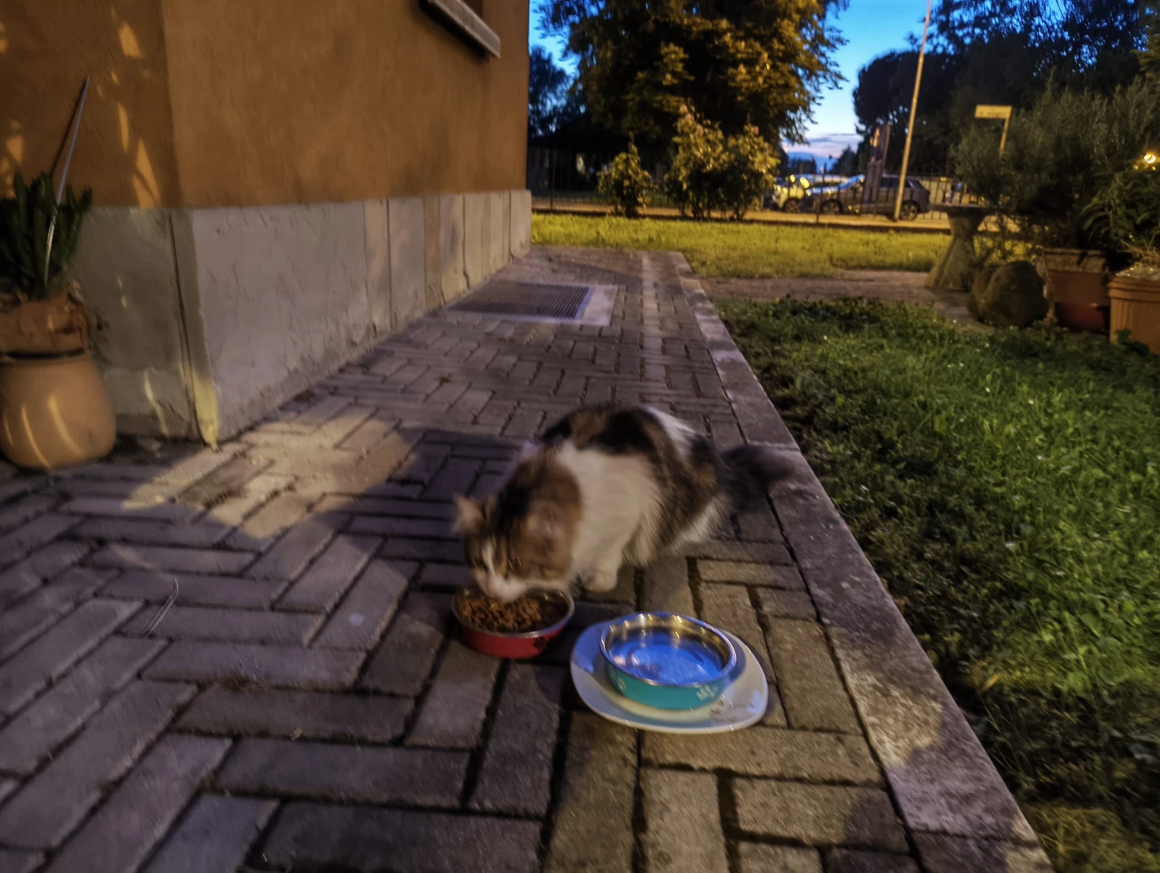 image-4