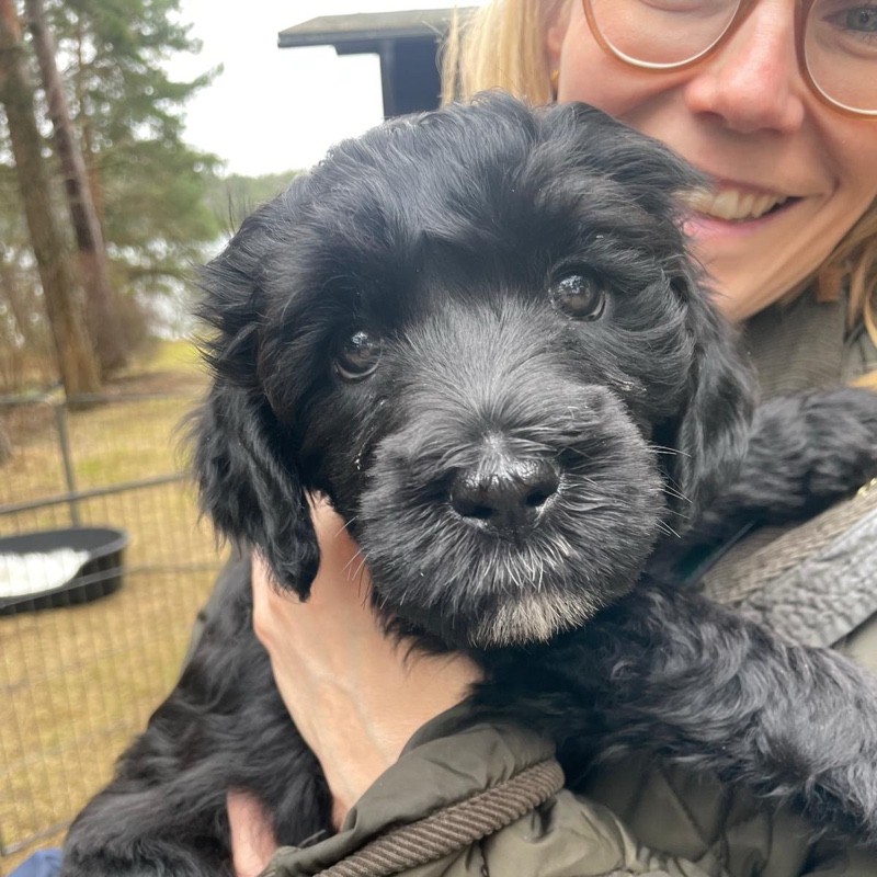 Anna-Kaisa