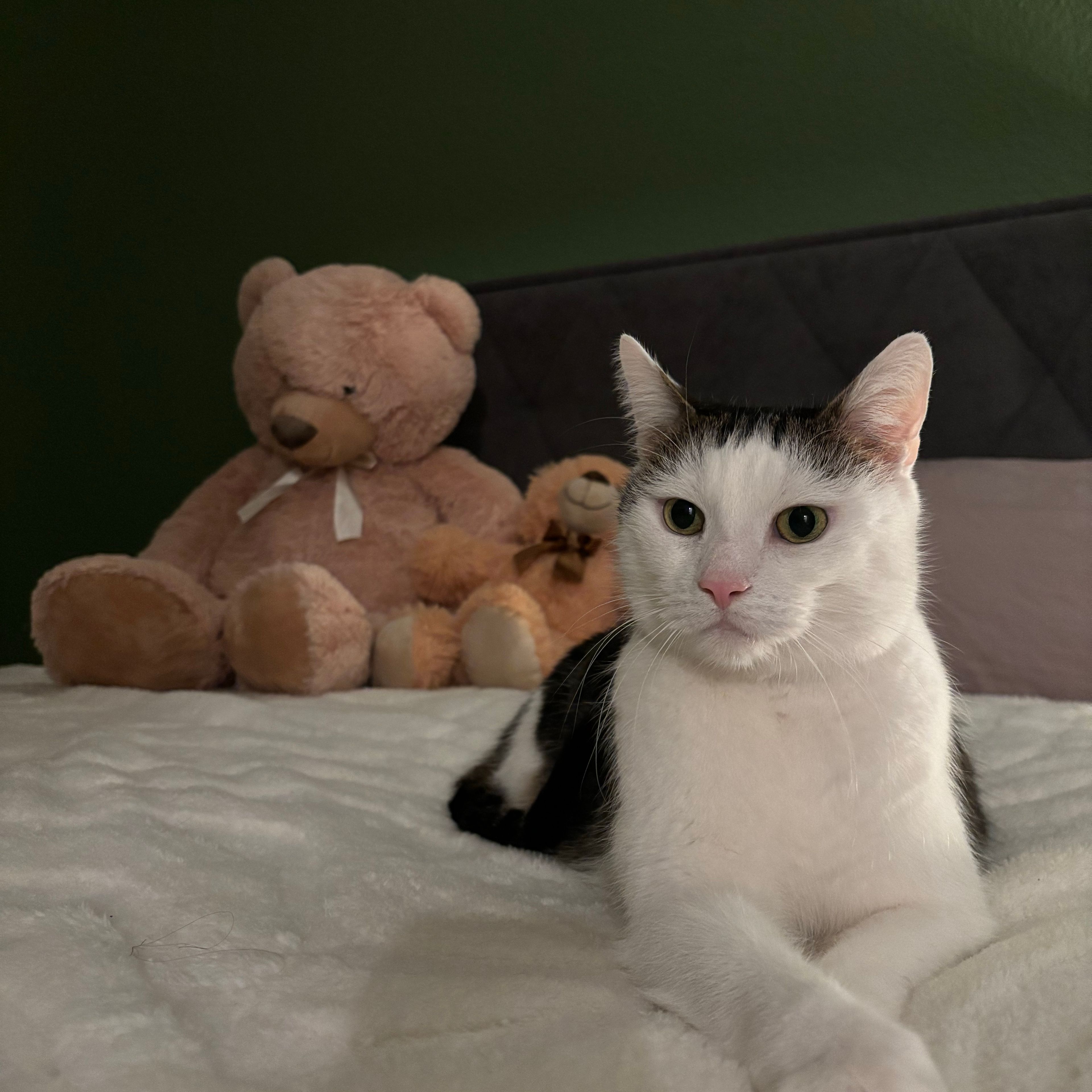 Leo