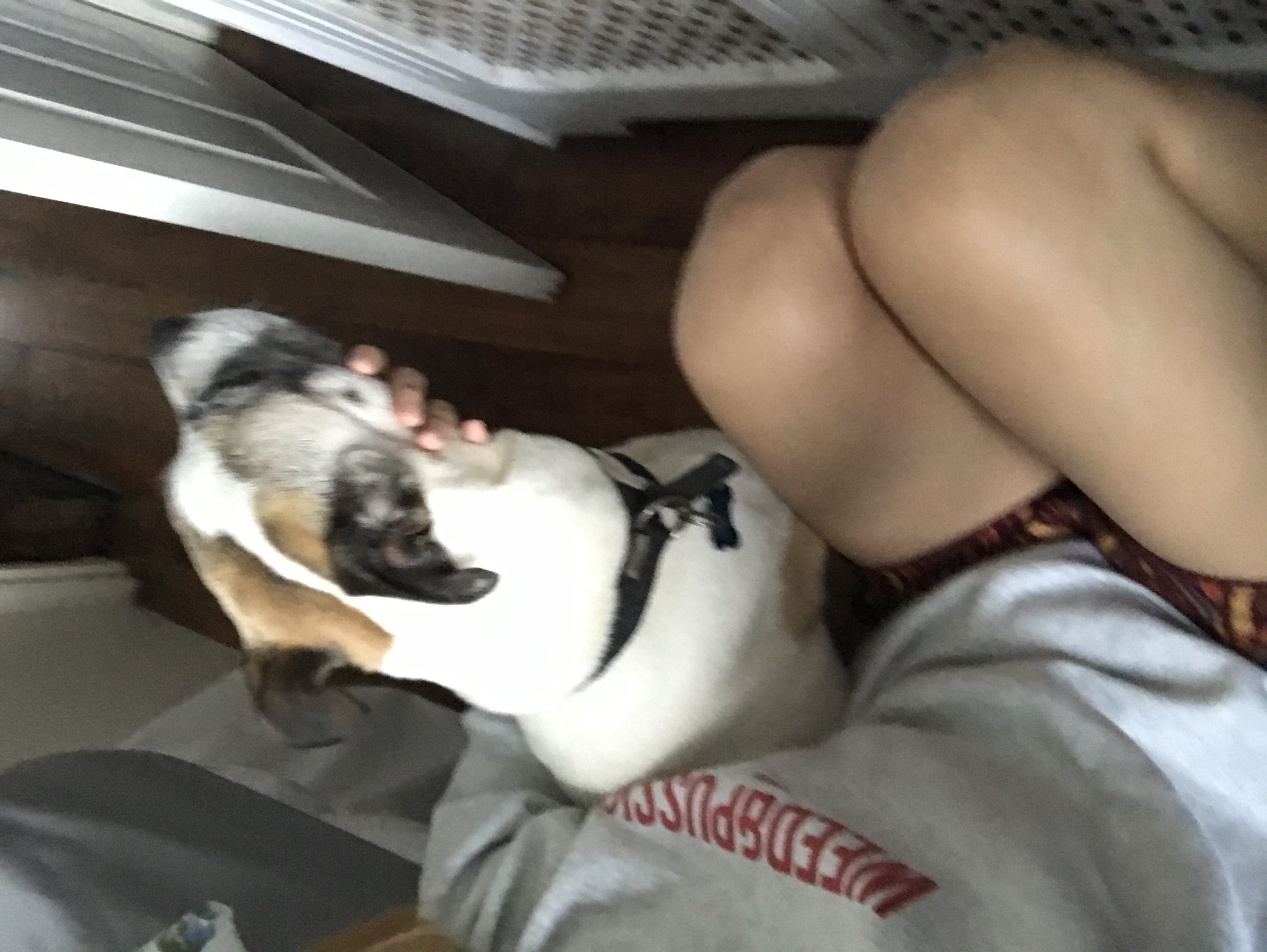 image-7