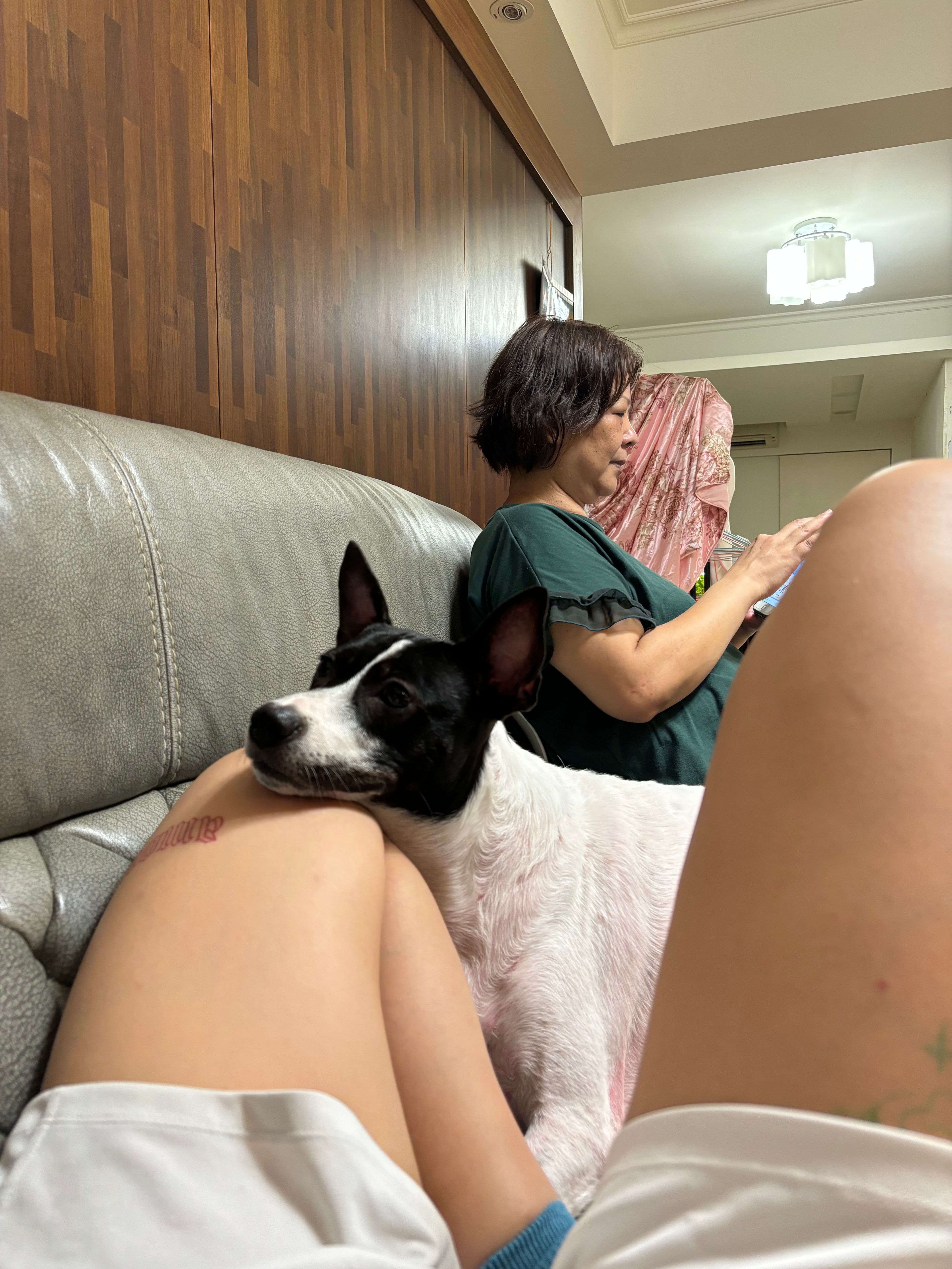 image-9