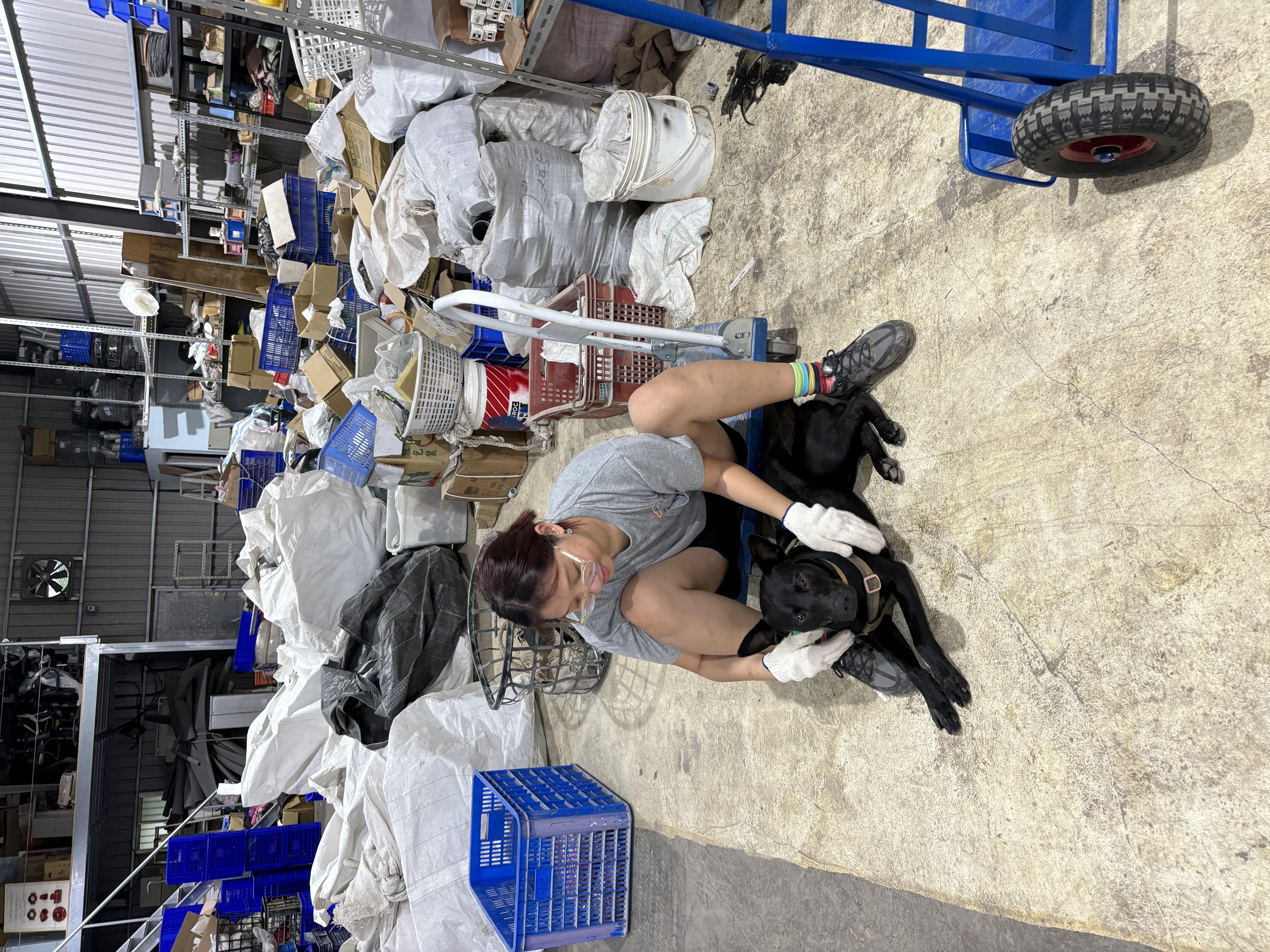 image-5