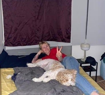 image-6